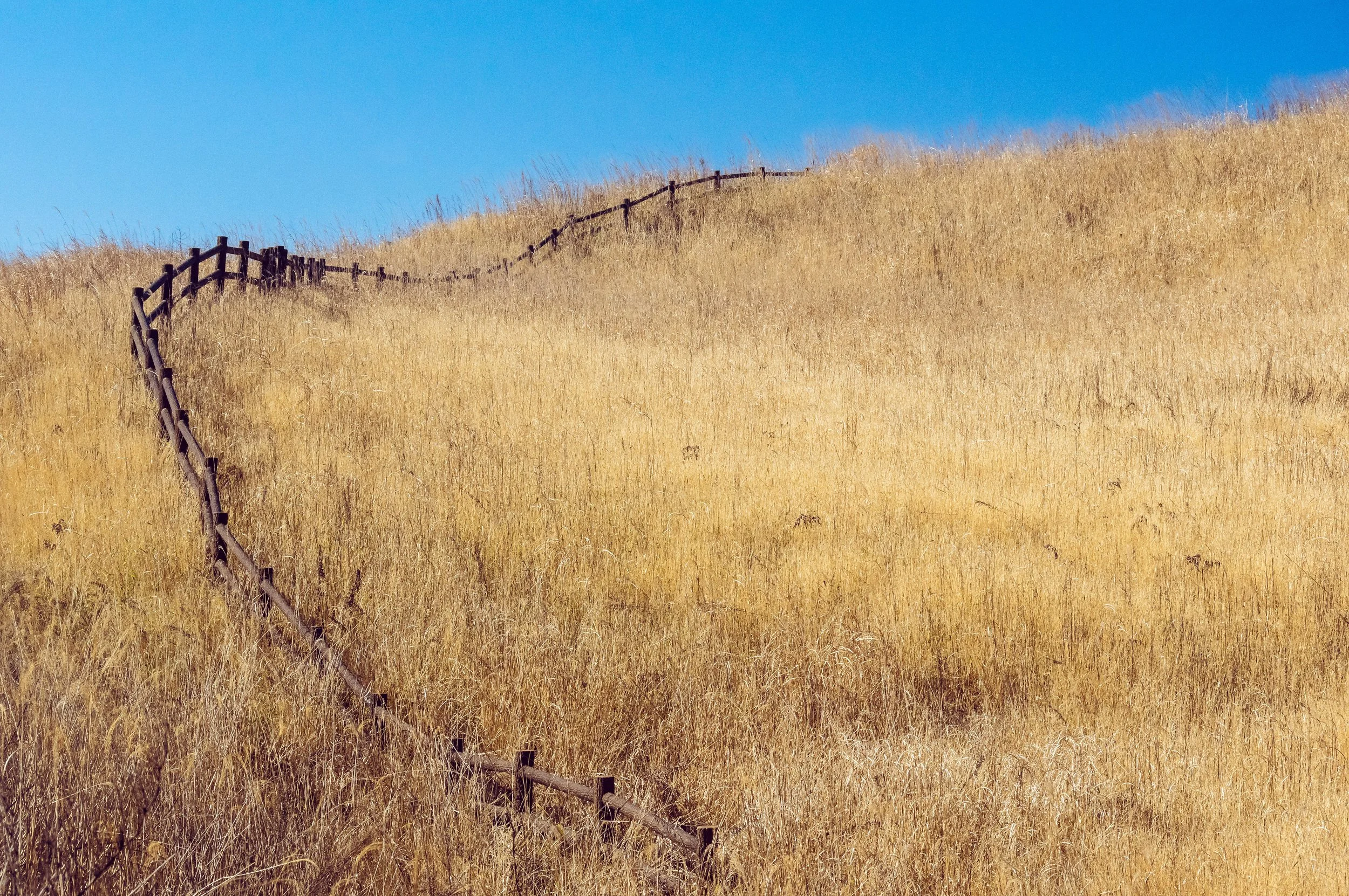 Meandering Fence near Mt Aso, Kumamoto, Japan, 2020