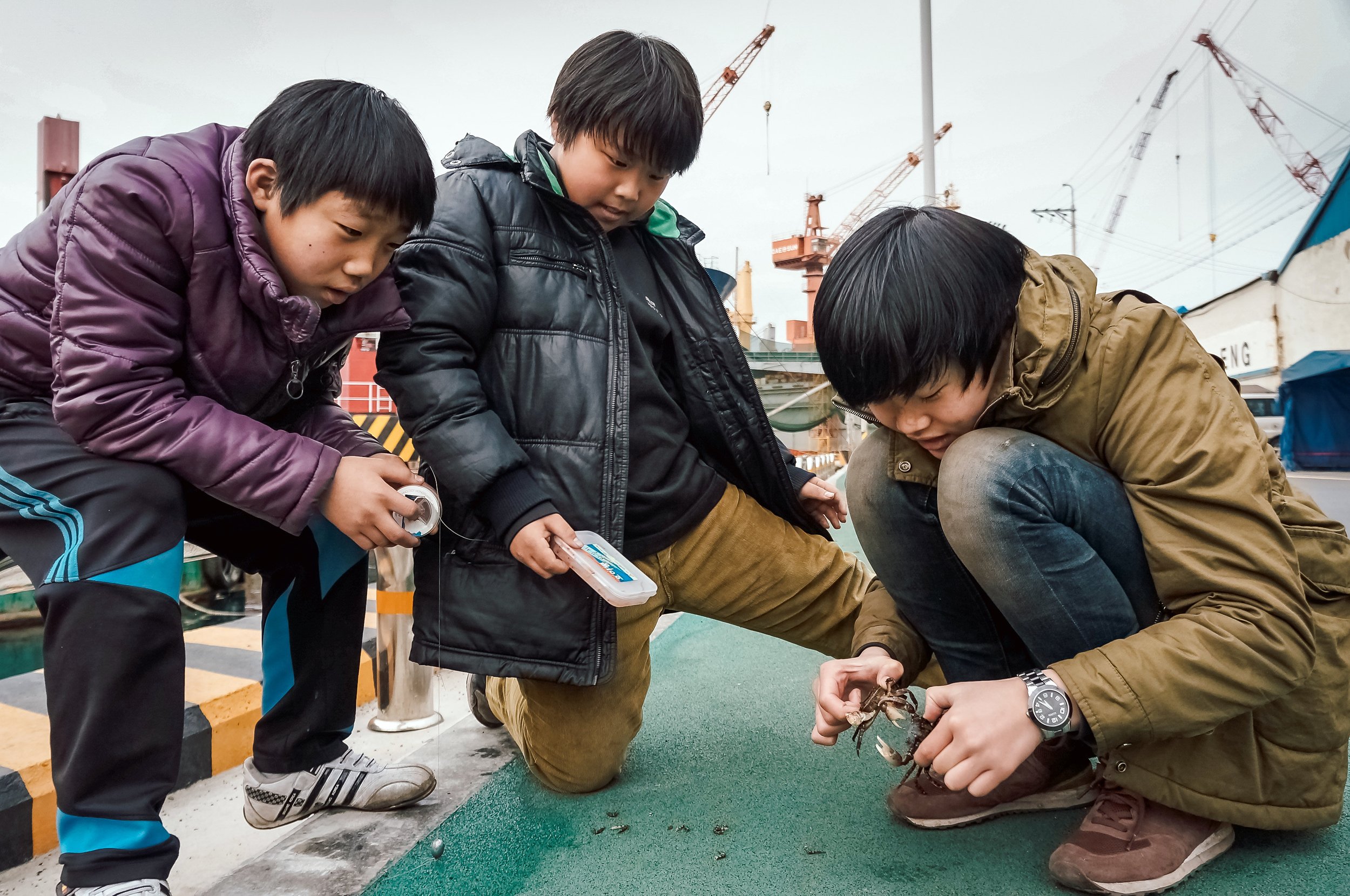 Crab & Captors on the Yeongdo Docks, Busan, South Korea, 2012