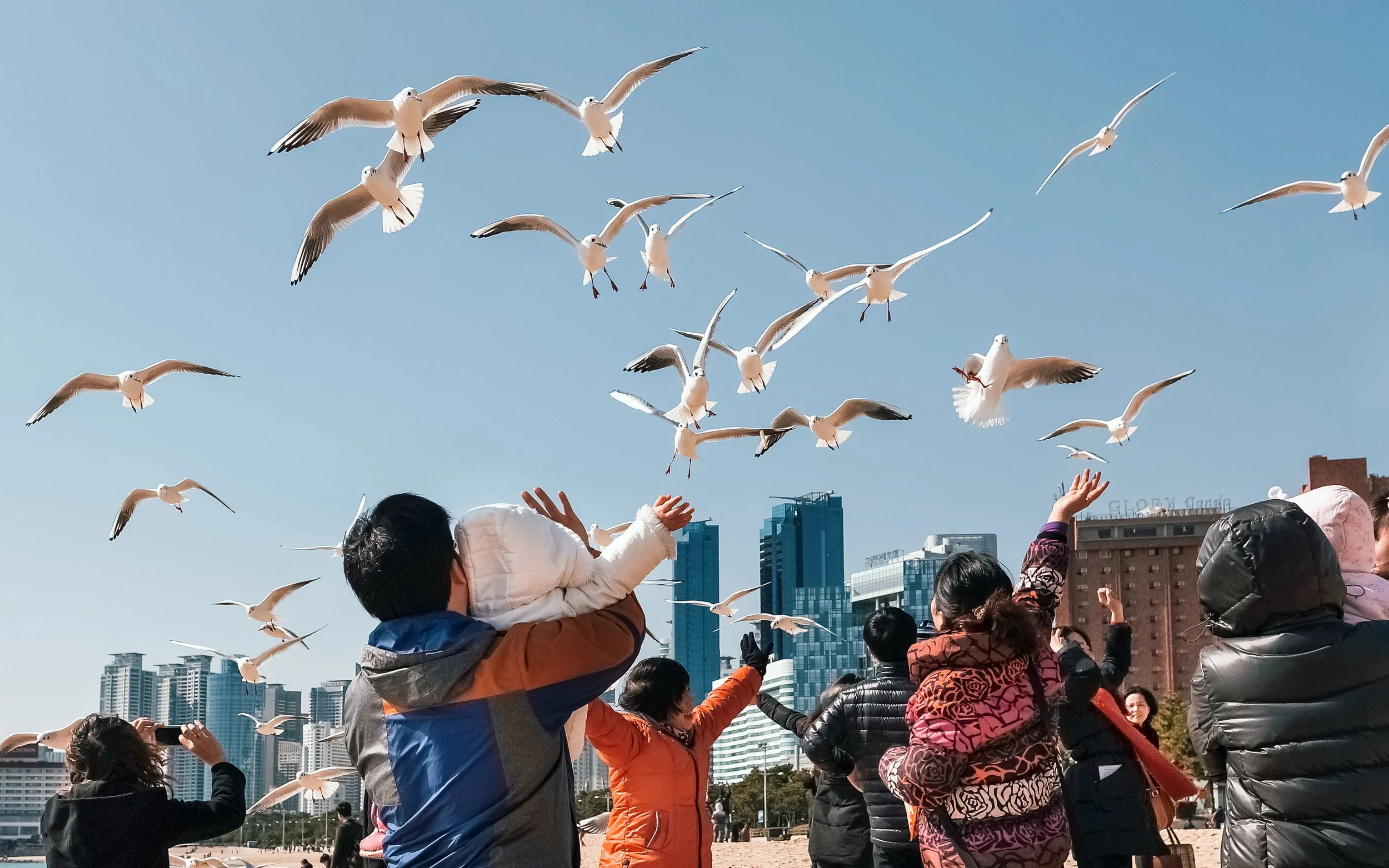 Visitation, Haeundae, South Korea, 2013