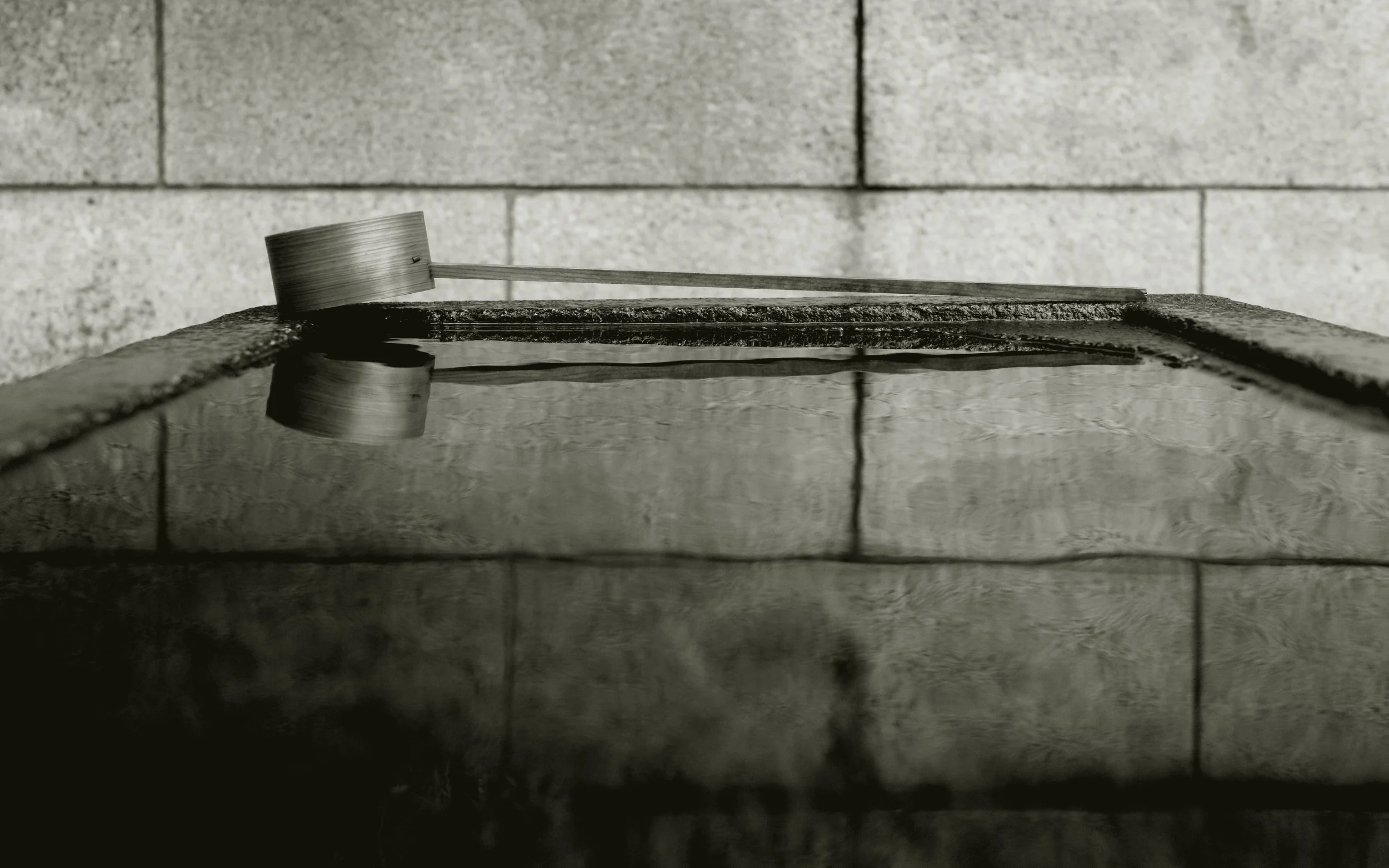 Water Dipper Reflection, Gokoku-ji, Japan, 2019