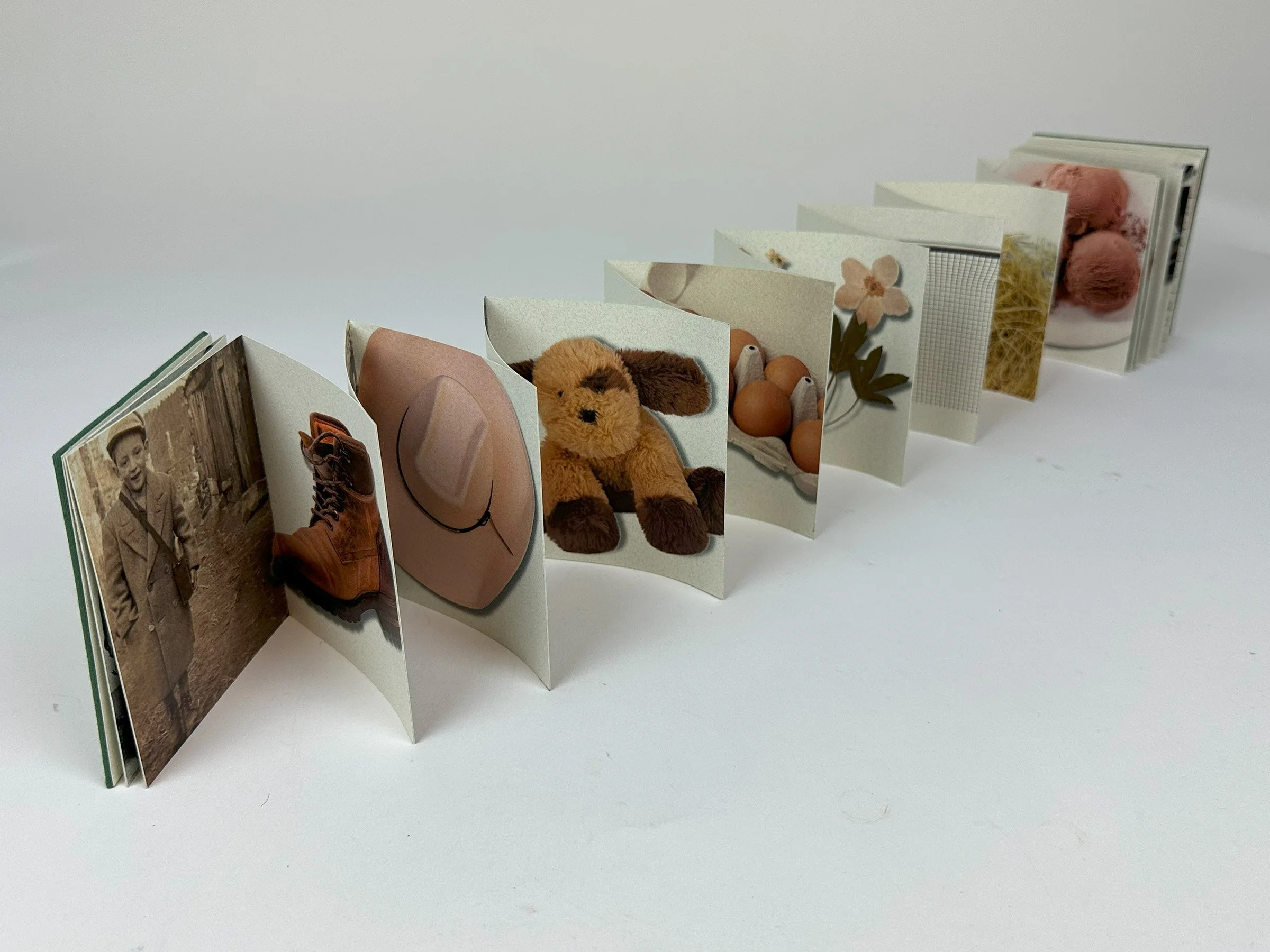 Anna Henderson_IMG_2511.jpg