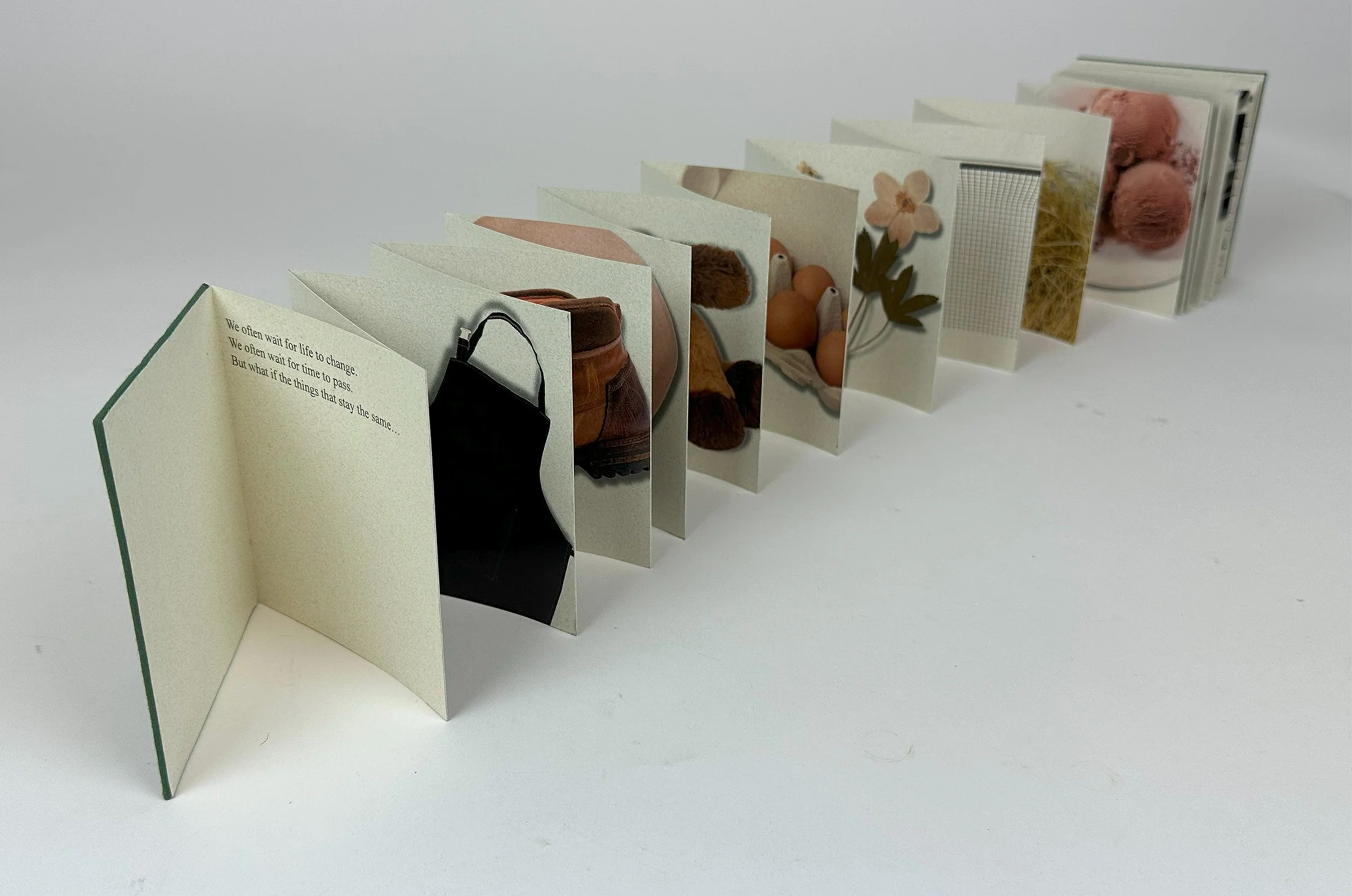 Anna Henderson_IMG_2510.jpg