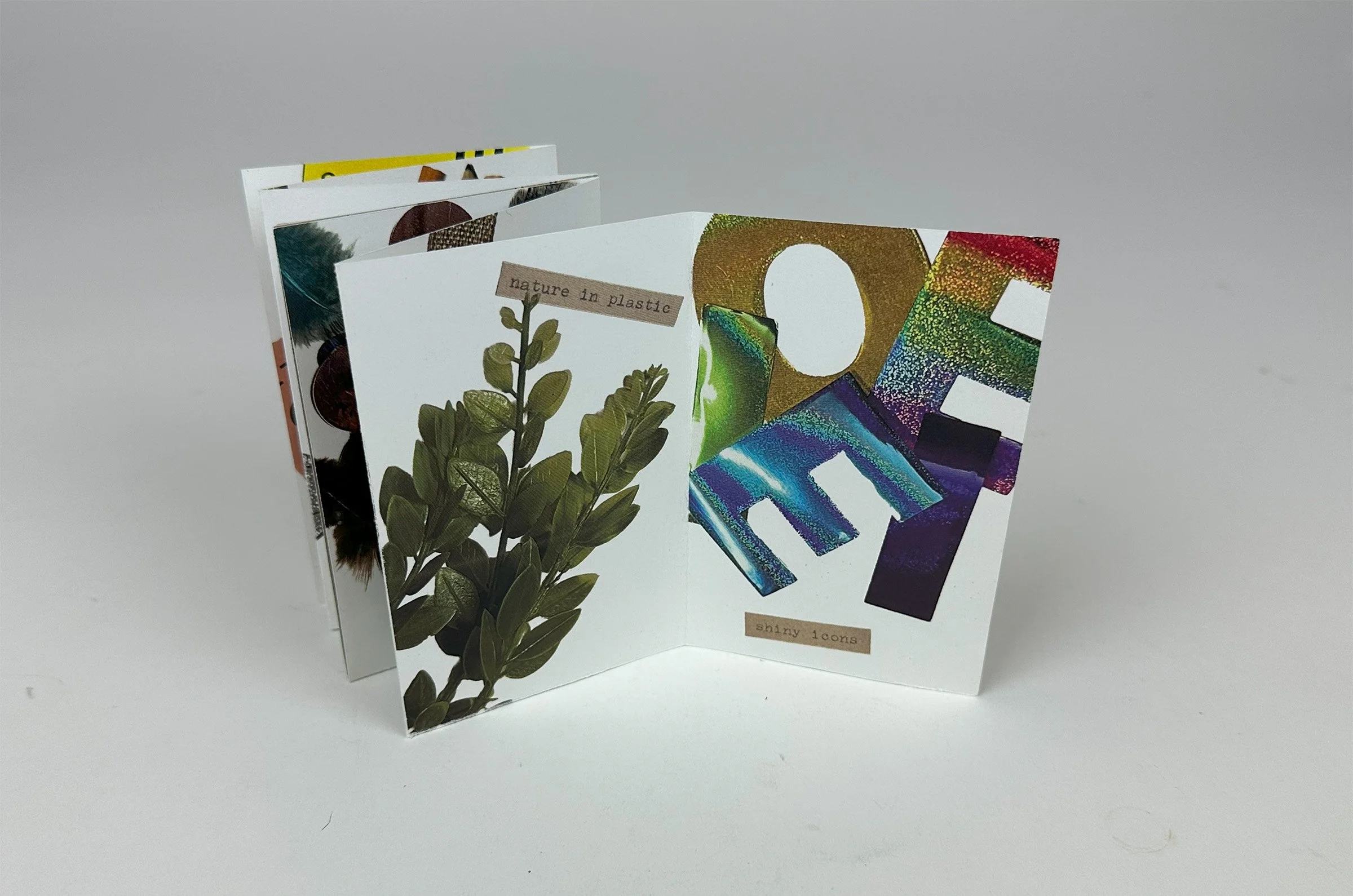 Anna Henderson_IMG_2422.jpg