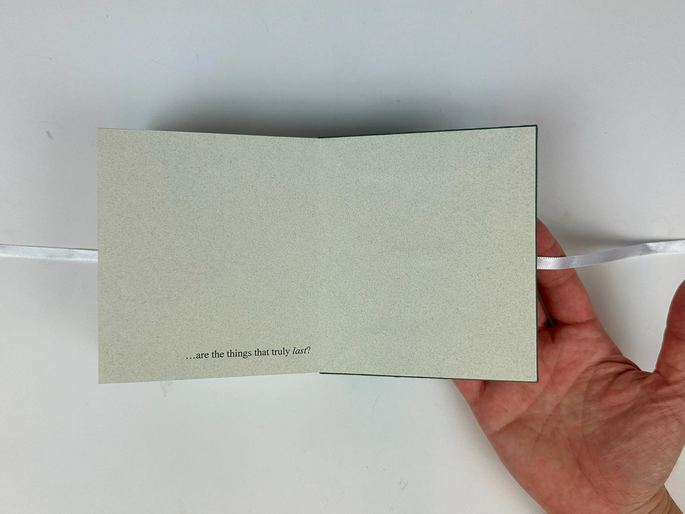 Anna Henderson_IMG_2574.jpg