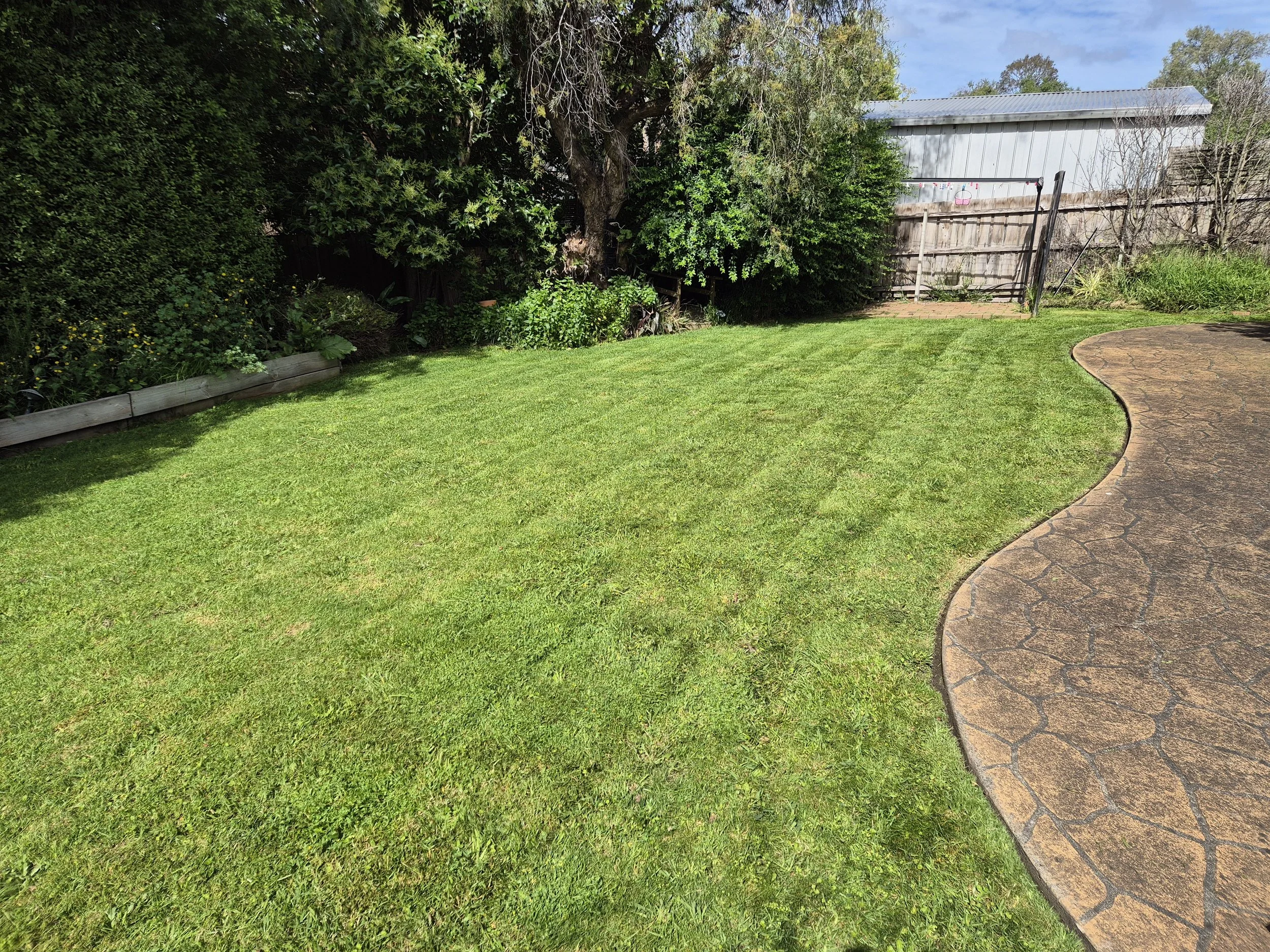 A backyard with a neatly cut grass lawn, a curved concrete patio, a wooden fence, a clothesline, and trees providing shade.