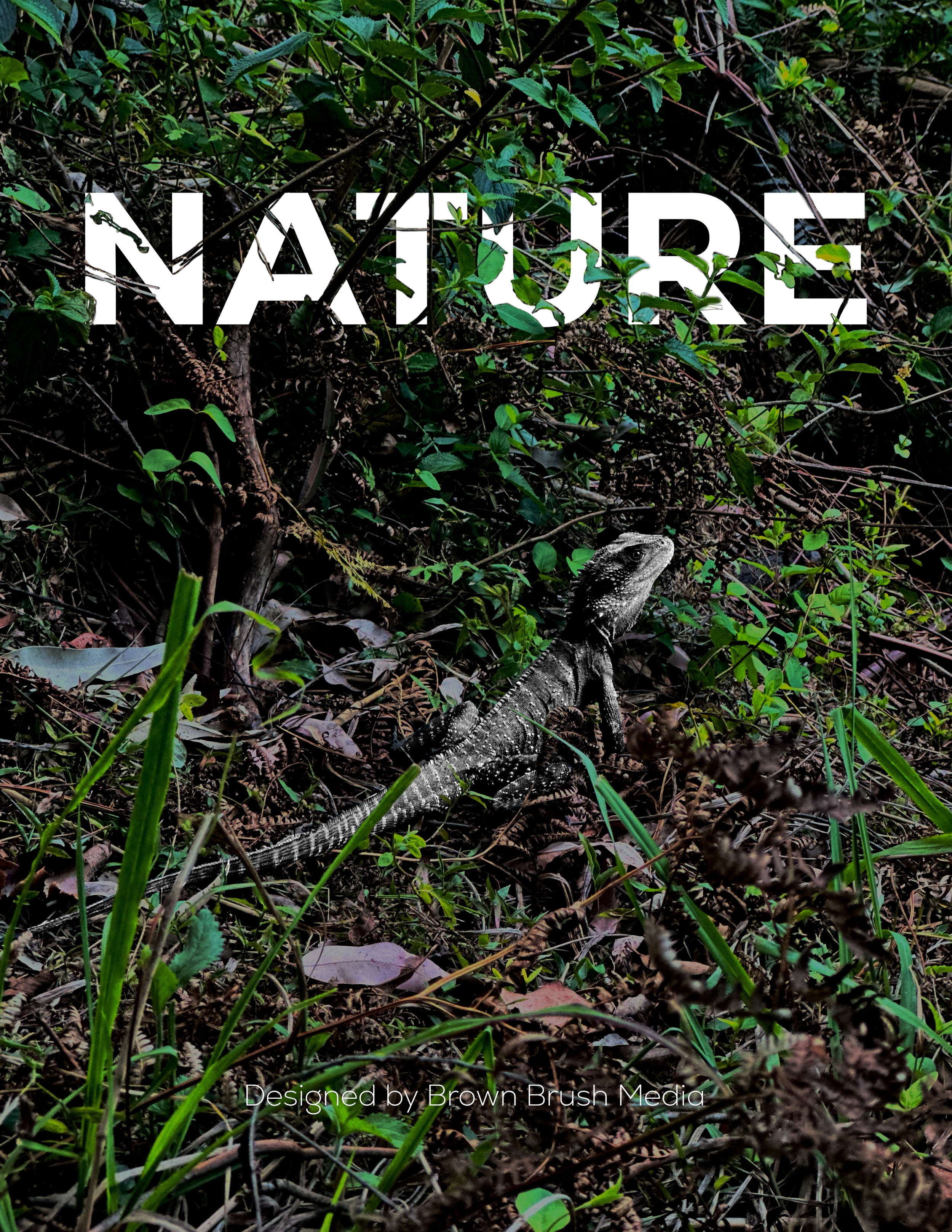 Original Image by BBM