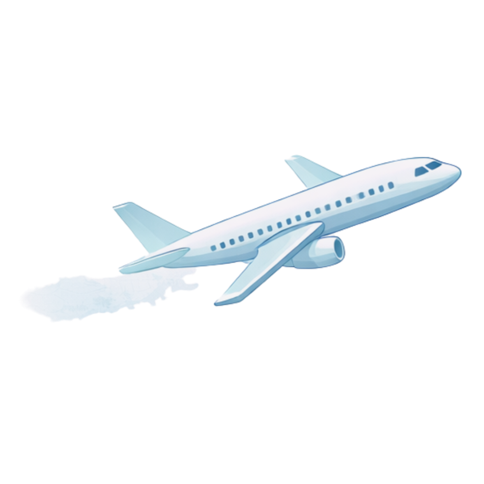 International travel planning to Turkey for medical care