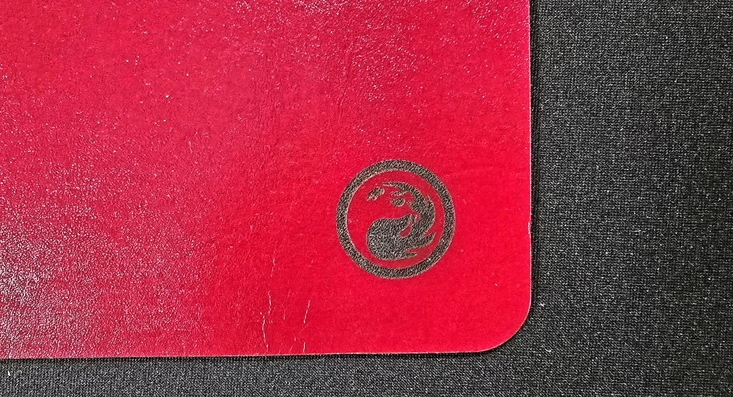 1000008460.jpg