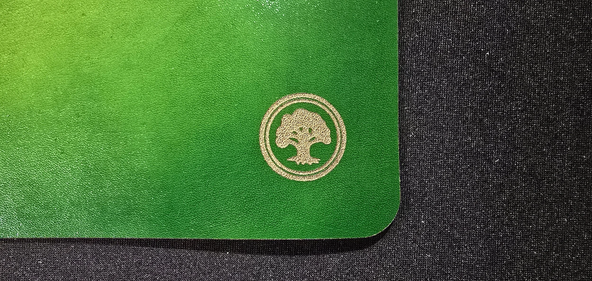 1000008466.jpg
