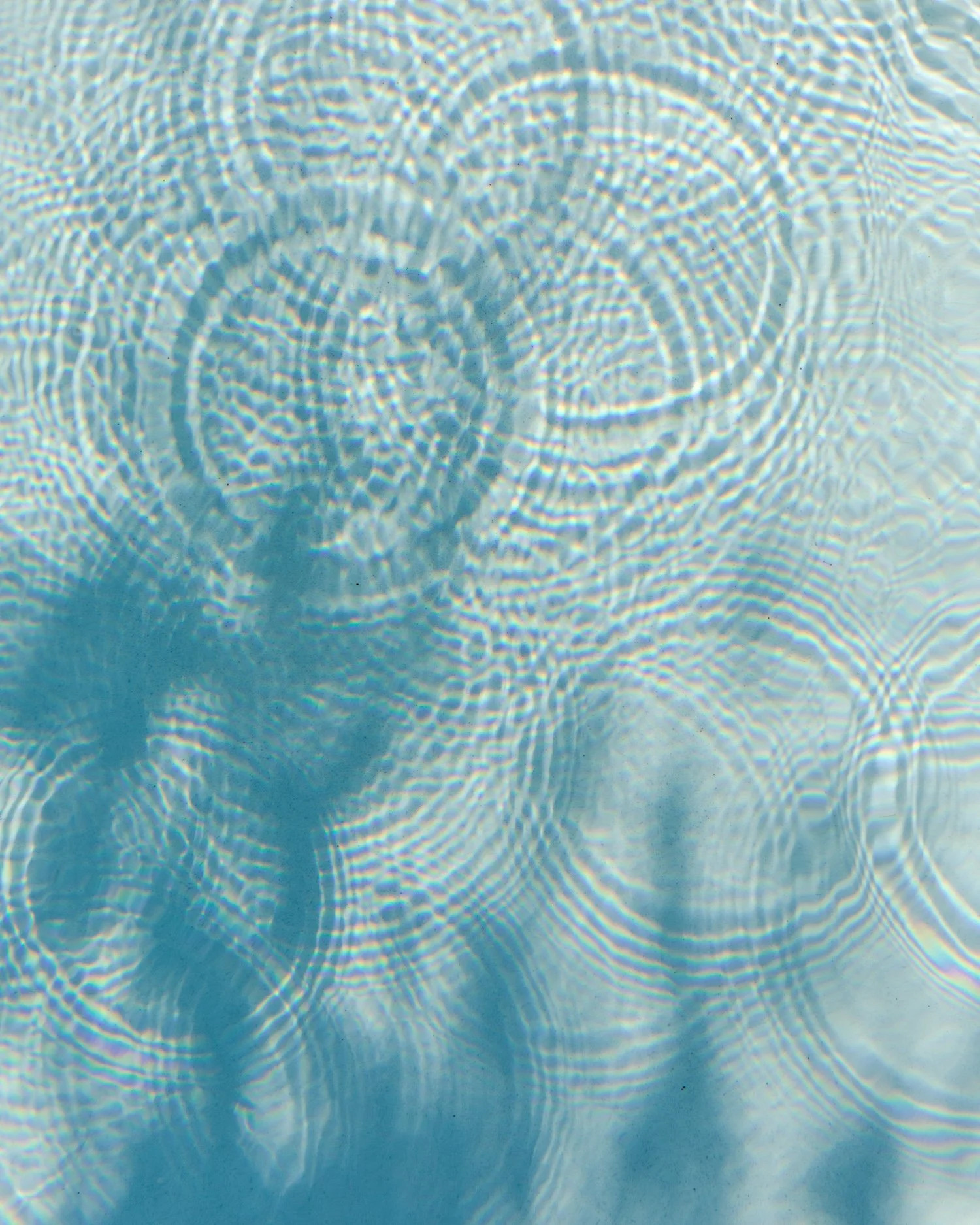 Close-up of the surface of a body of water with sunlight creating a pattern of concentric ripples and reflections.