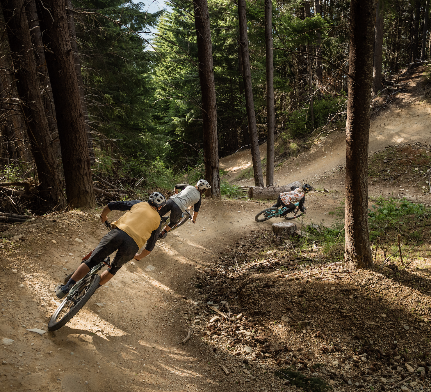 Group mountain biking through forest trail with winding dirt track