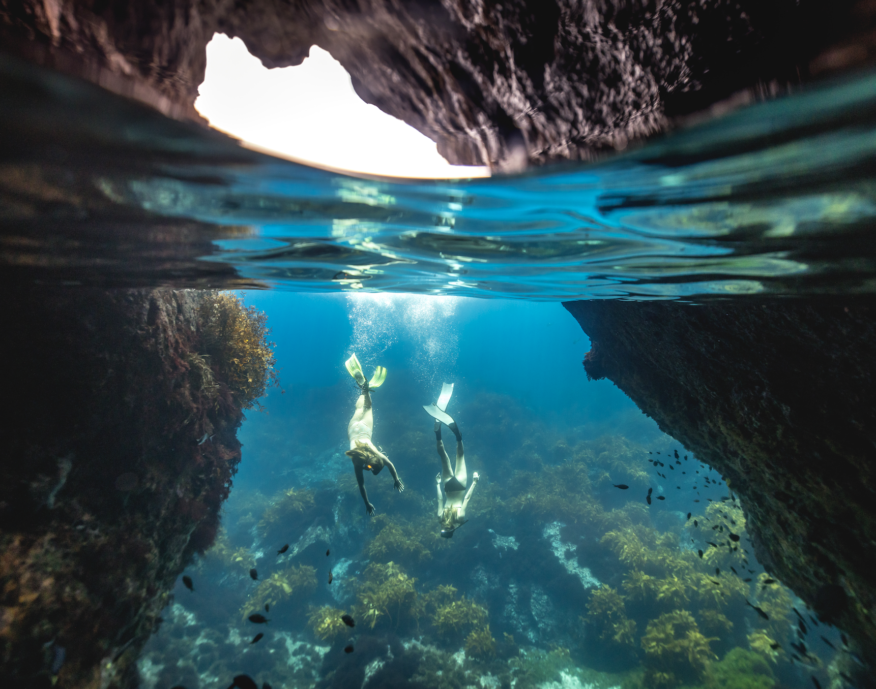 Two people snorkeling in Fiji in crystal clear blue water with fish and marine life