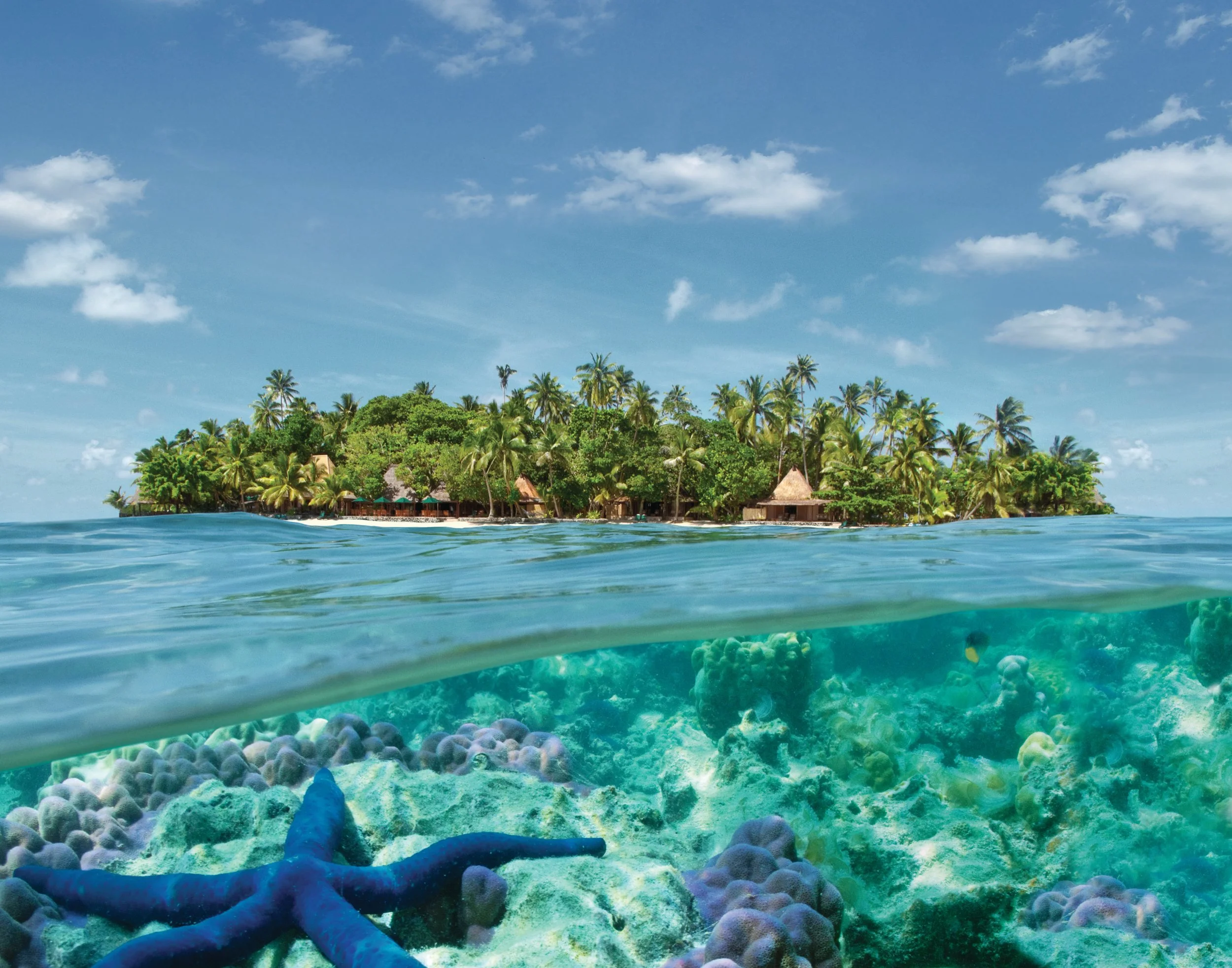 Tropical island with lush greenery and thatched huts, seen from underwater where a starfish and coral are visible in the clear blue ocean.