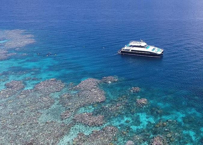 Boat trip above vibrant coral and marine life on the Great Barrier Reef near Port Douglas