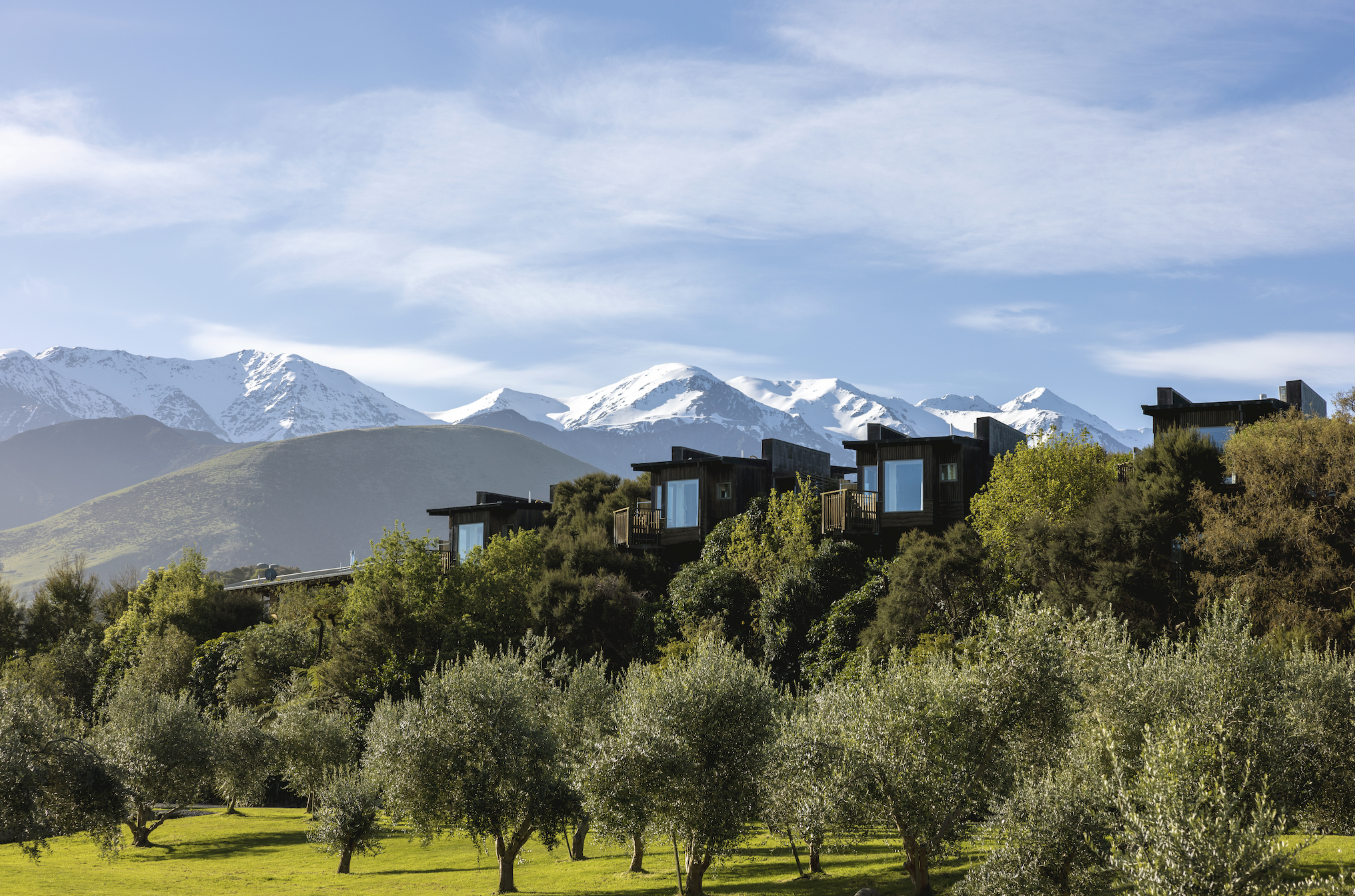 View of luxury lodge with green trees in front and snowy mountains in the back in Kaikoura