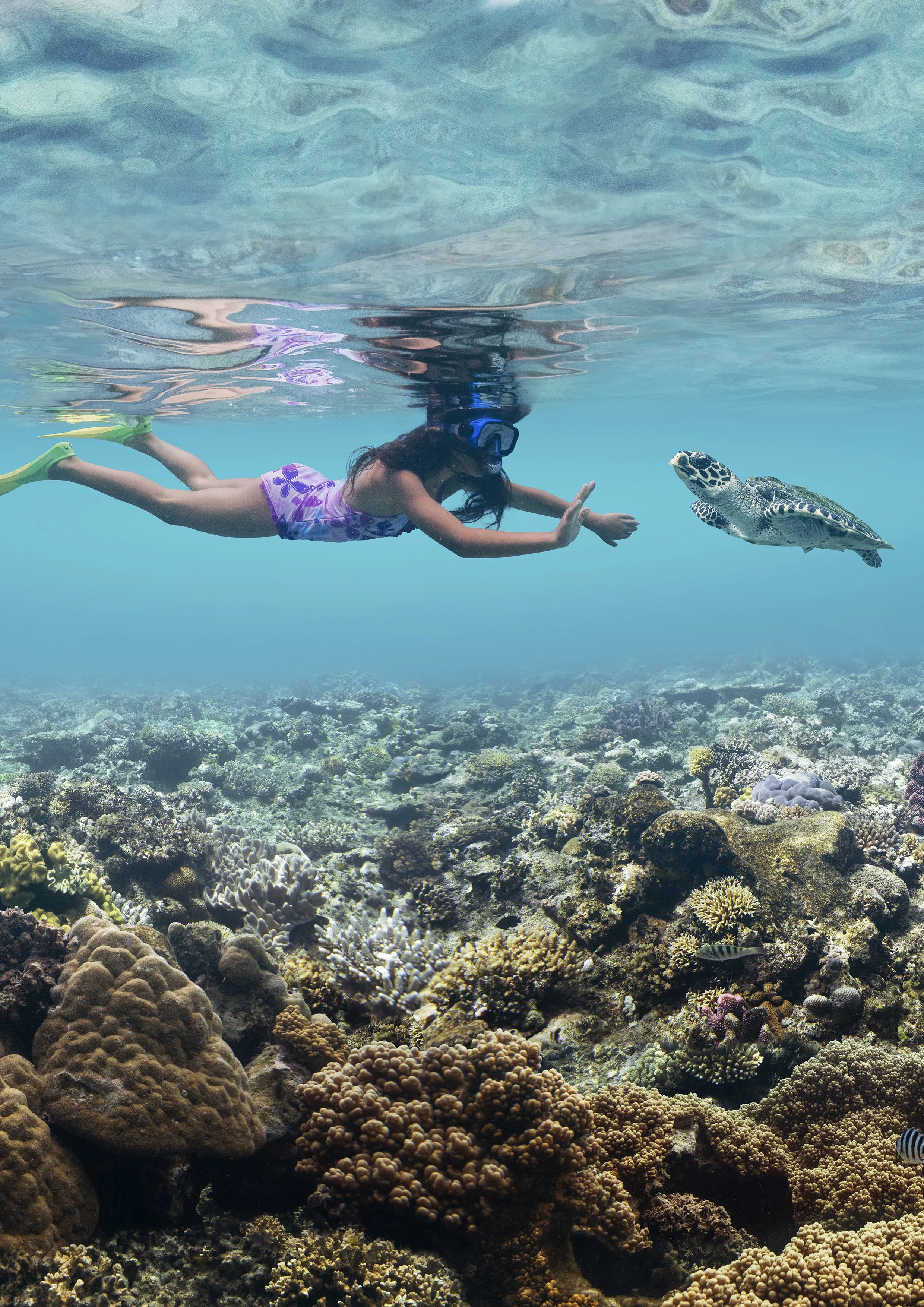 A girl with a snorkel and mask swimming underwater near a sea turtle over a coral reef.