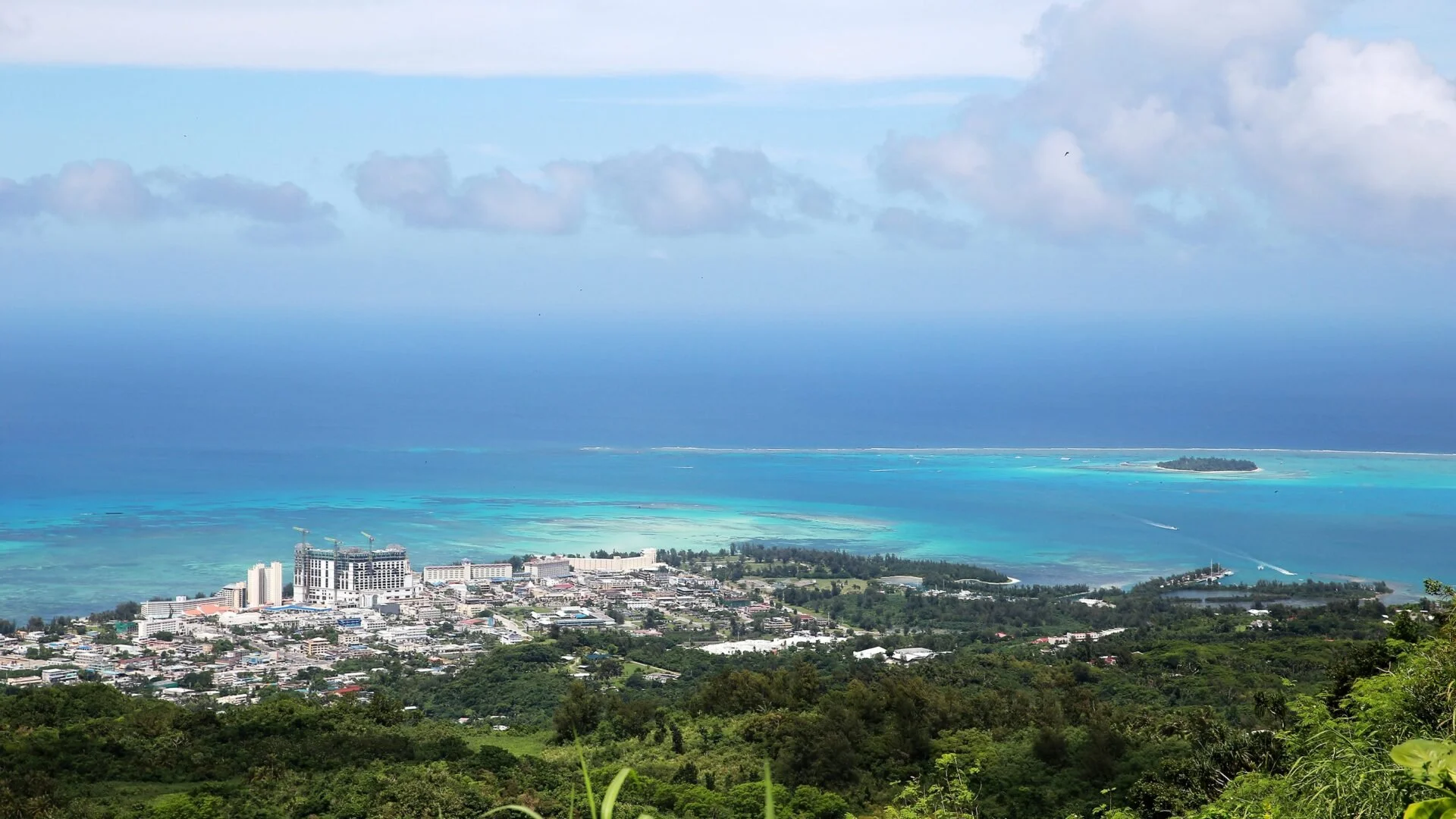 Medical Research: Betel Nuts