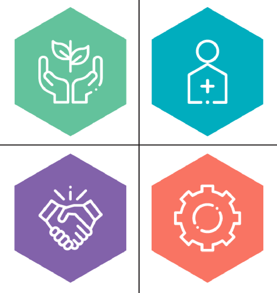 The 4 Capitals of Development – How Belmer Collective Approaches Land