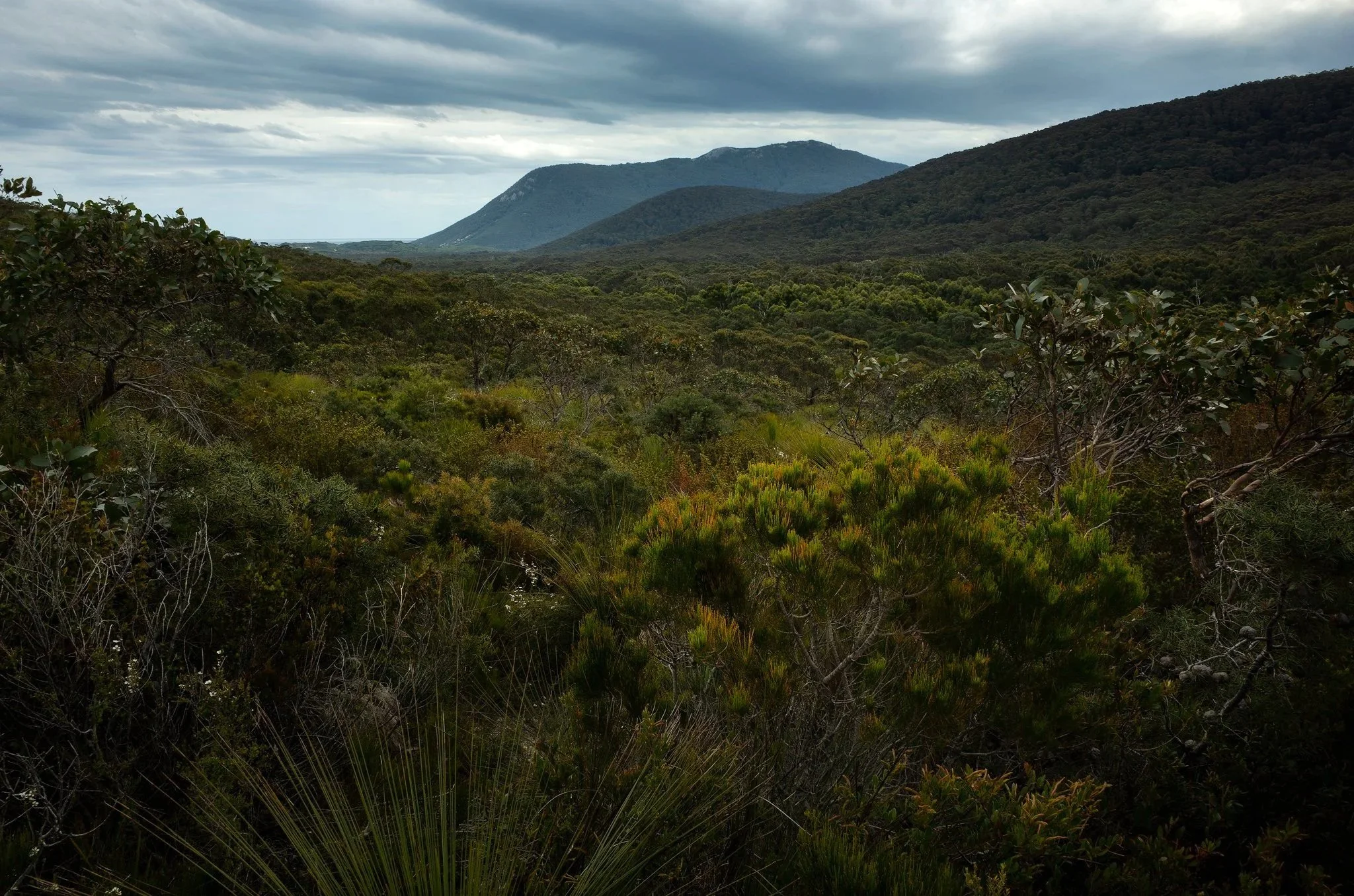 Wilsons Promontory, Vic Au
