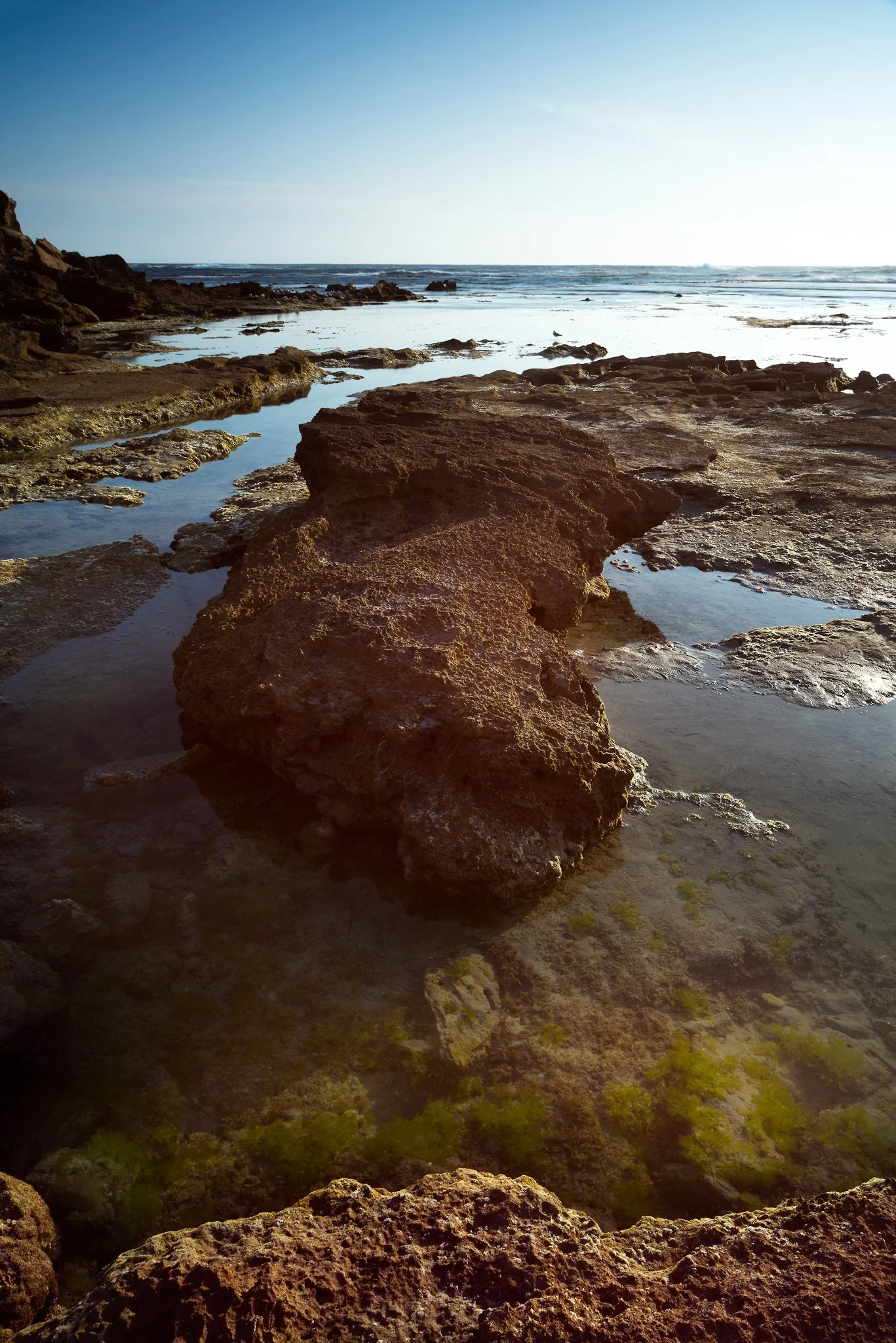 Warrnambool Seascape, Vic Au