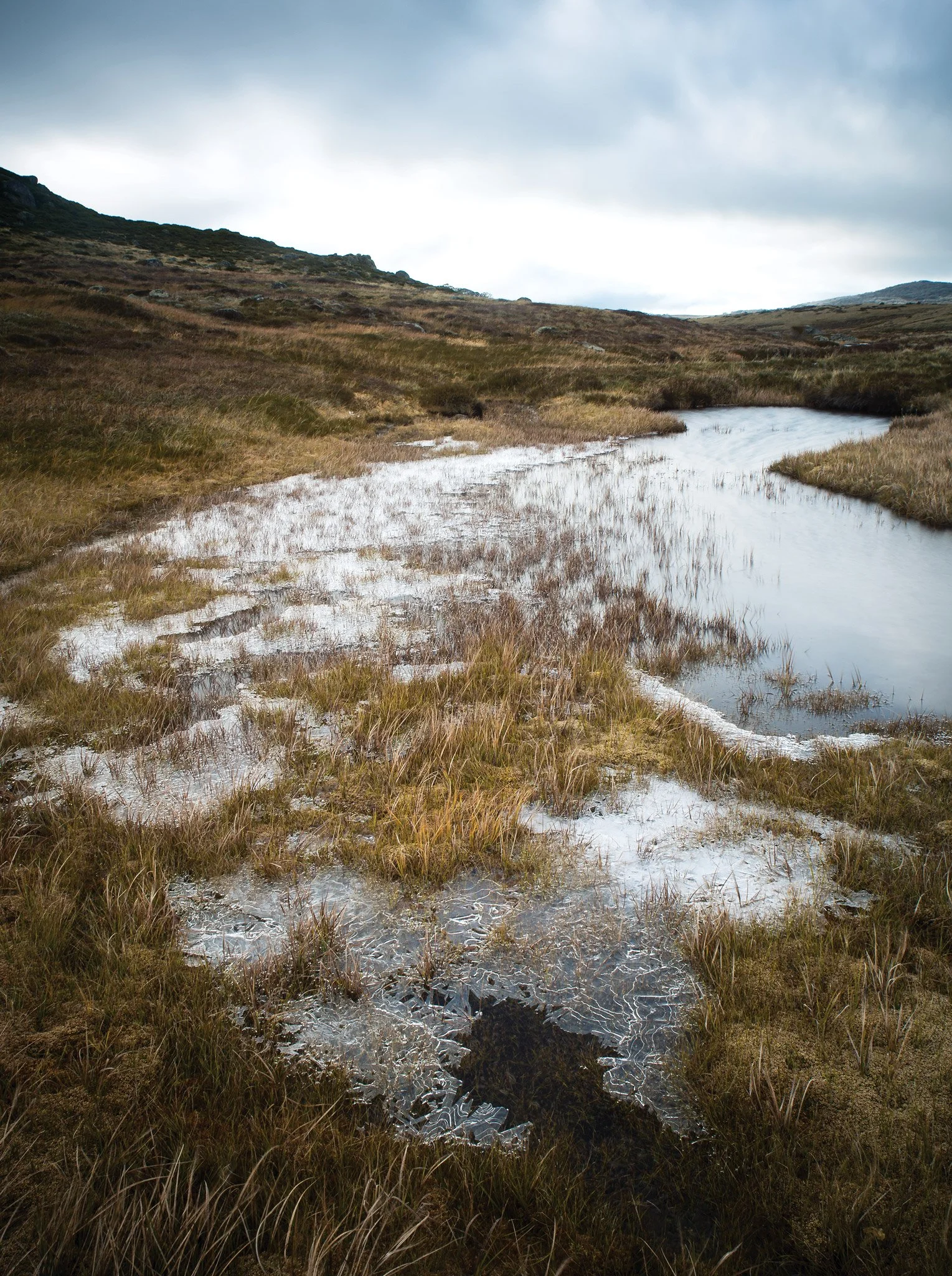 Bogong High Plains, Vic Au