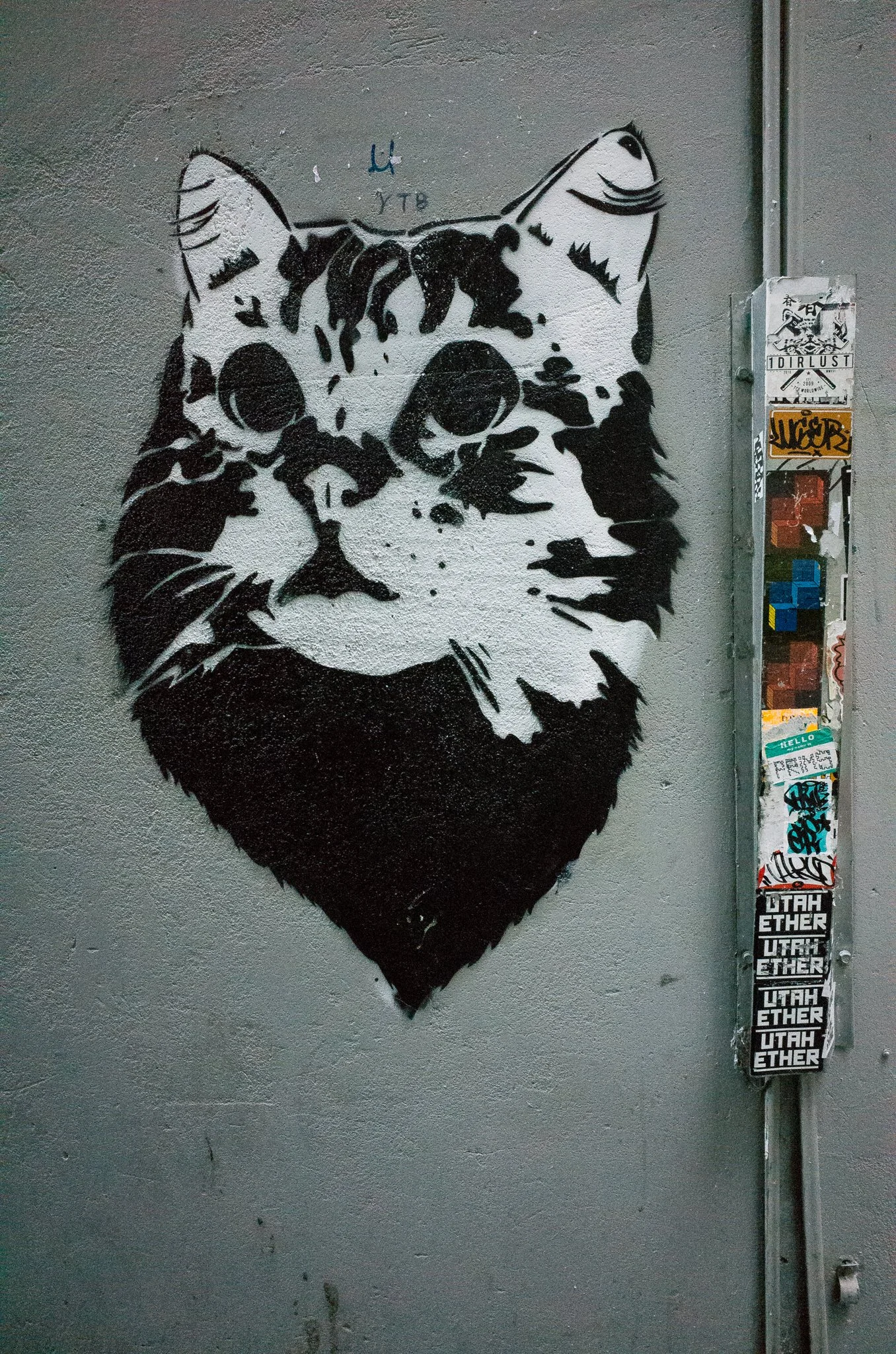 Flinders Lane Cat.jpg
