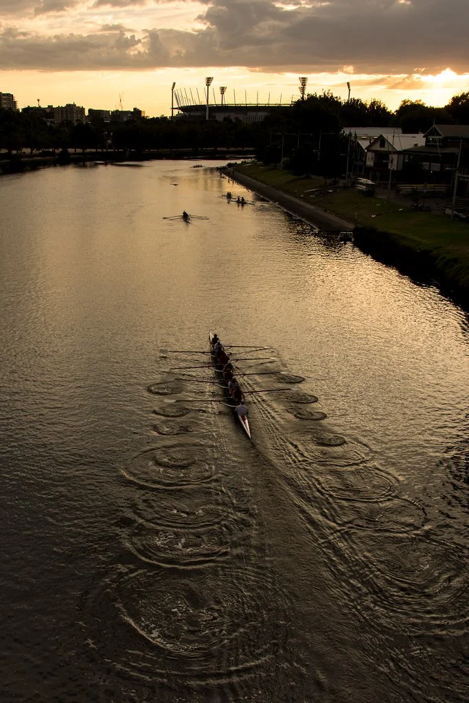 Rowers on the Yarra River, Melbourne Au