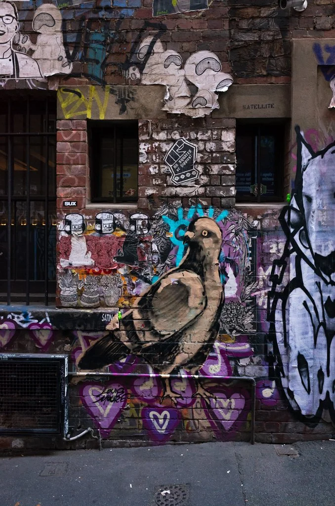 Duckboard Place 2026