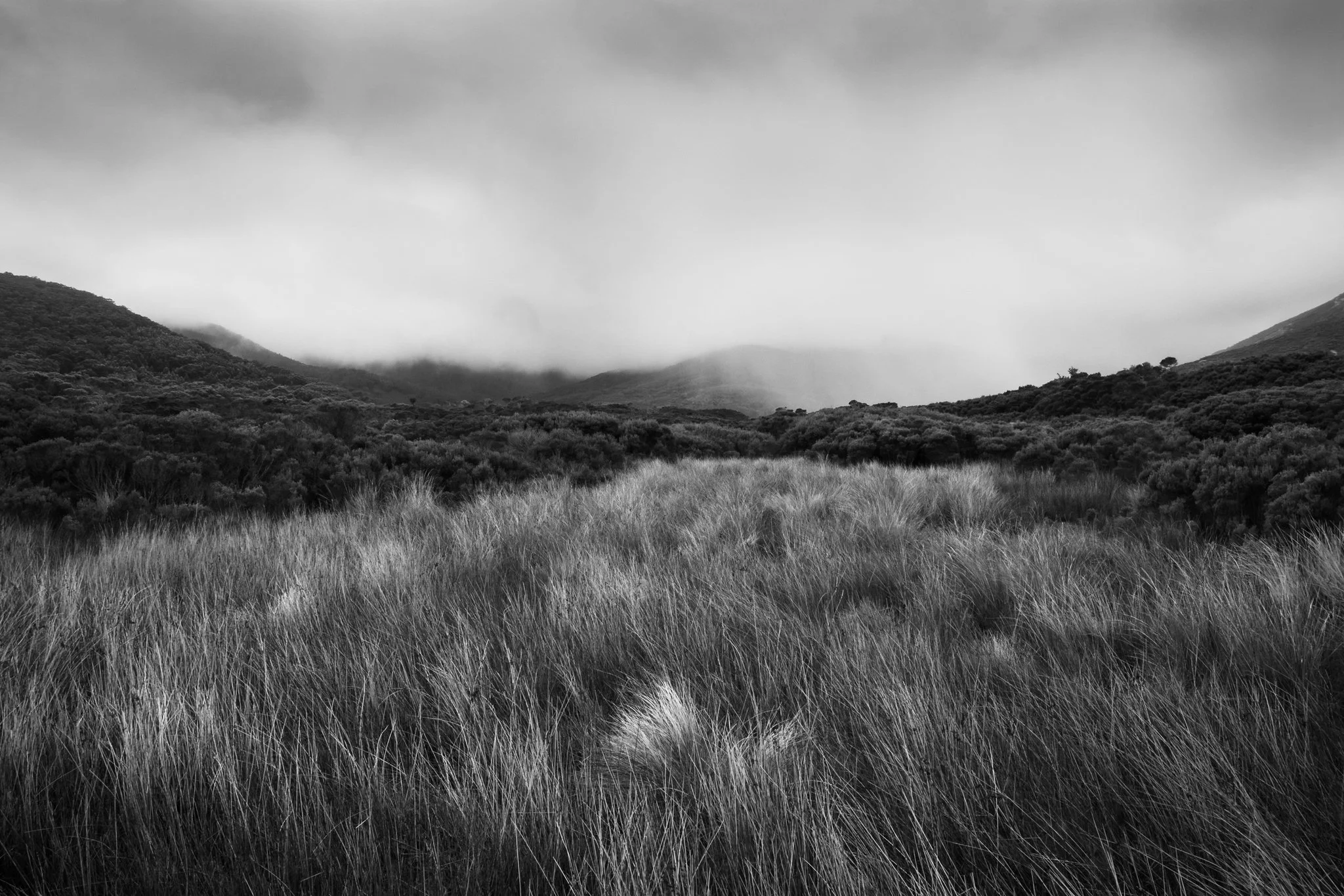 Wilsons Promontory in Monochrome, Vic Au