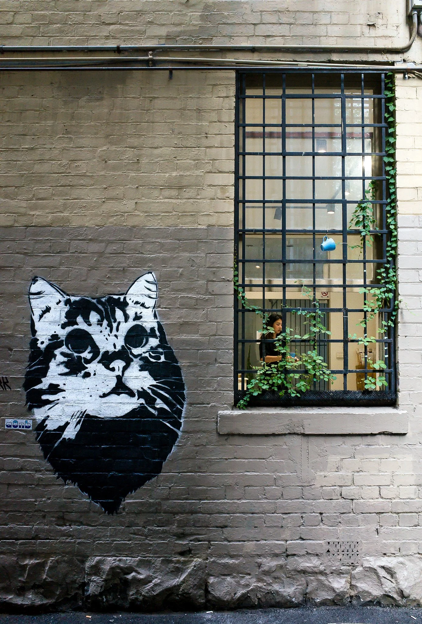 180216-Street-Art-Cat---Lt-Collins.jpg