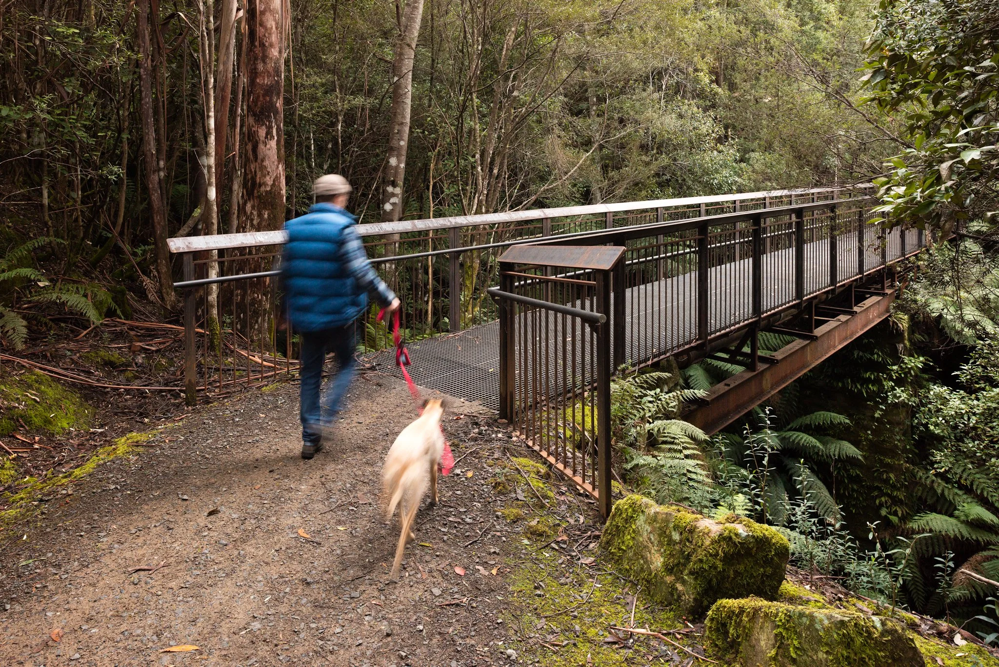 Pedestrian Bridge, Tas Au. Urban Initiatives