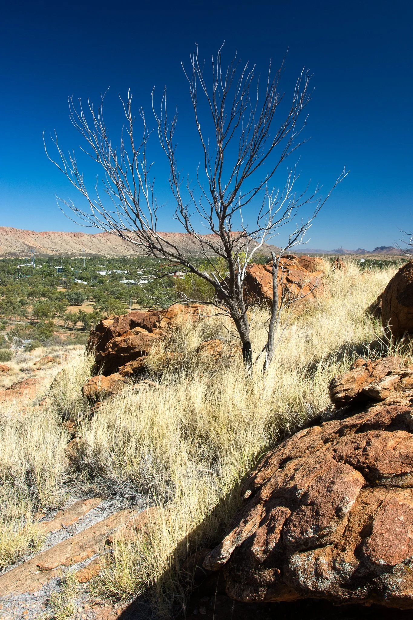 Alice Springs, NT AU