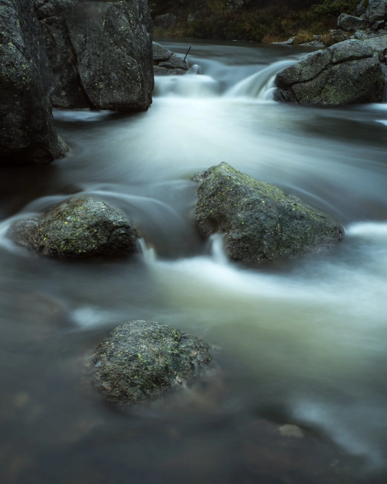 Bogong High Plains, Vic Au
