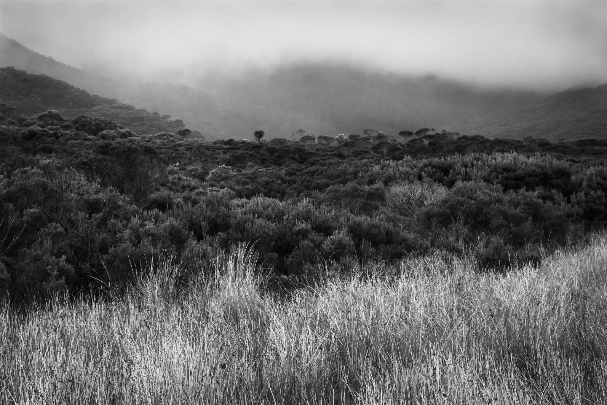 Wilsons Promontory in Monochrome, Vic Au