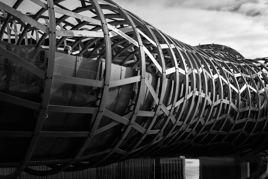 Under Webb Bridge in detail (monochrome), Docklands, Melbourne Au