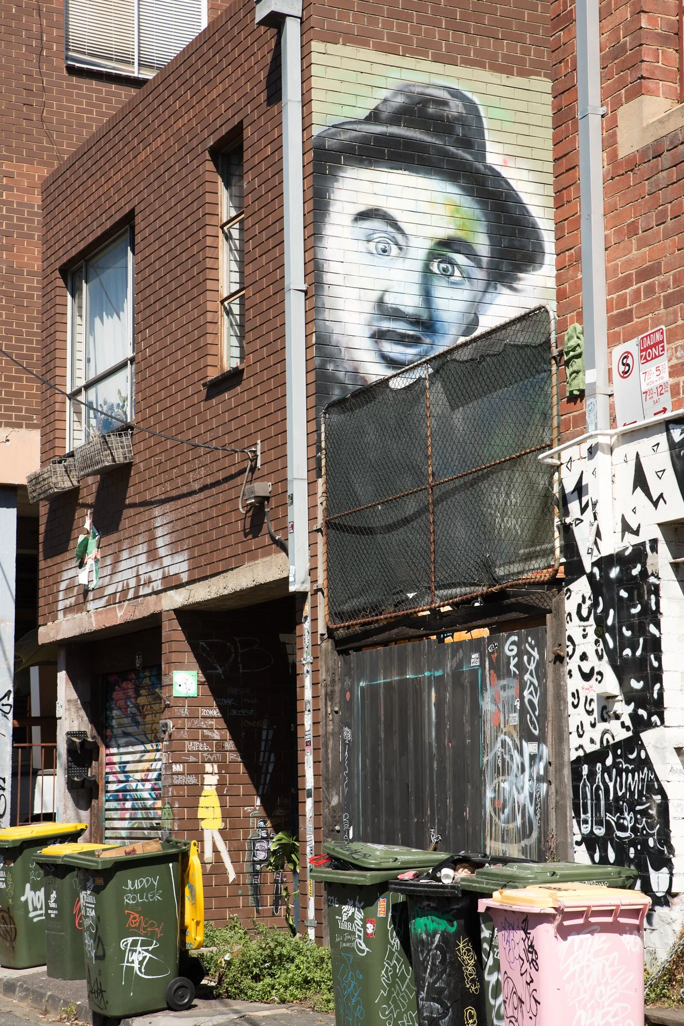 Fitzroy---Peeking-Around-the-Corner.jpg