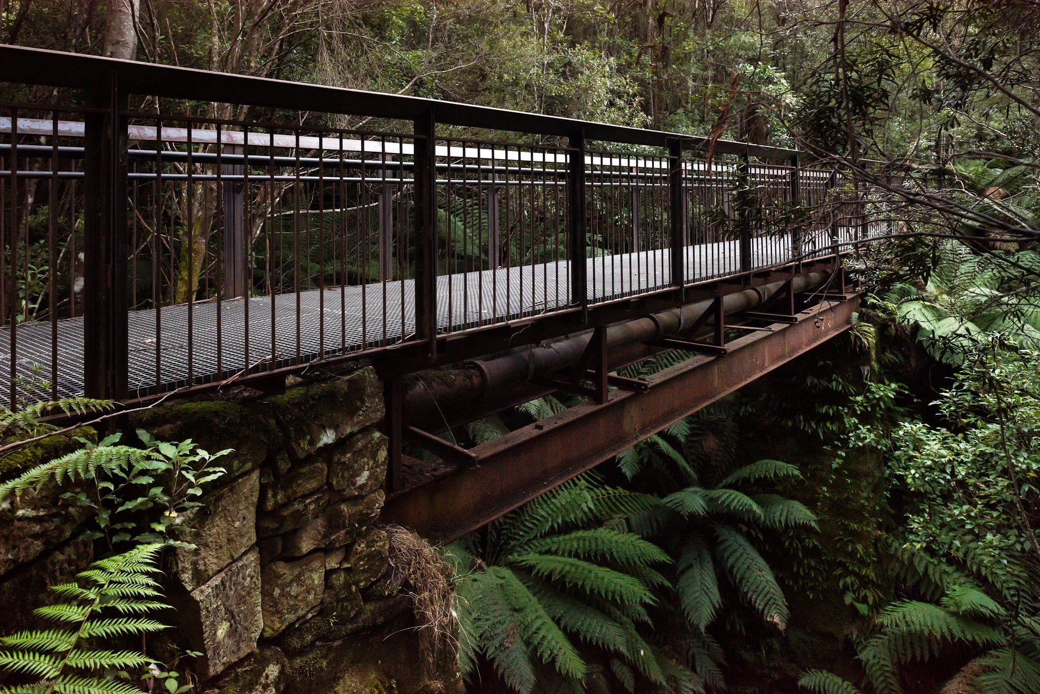 Pedestrian Bridge, Tas Au. Urban Initiatives