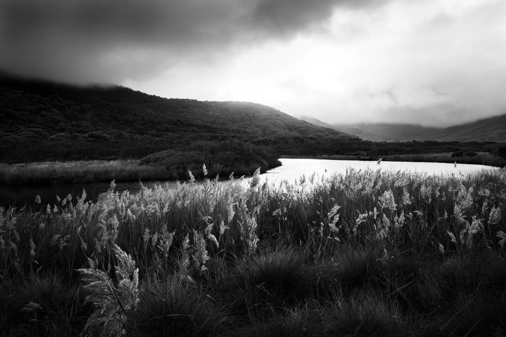 Wilsons Promontory in Monochrome, Vic Au
