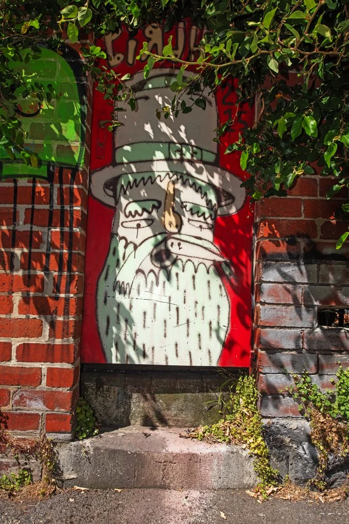 Fitzroy 2017