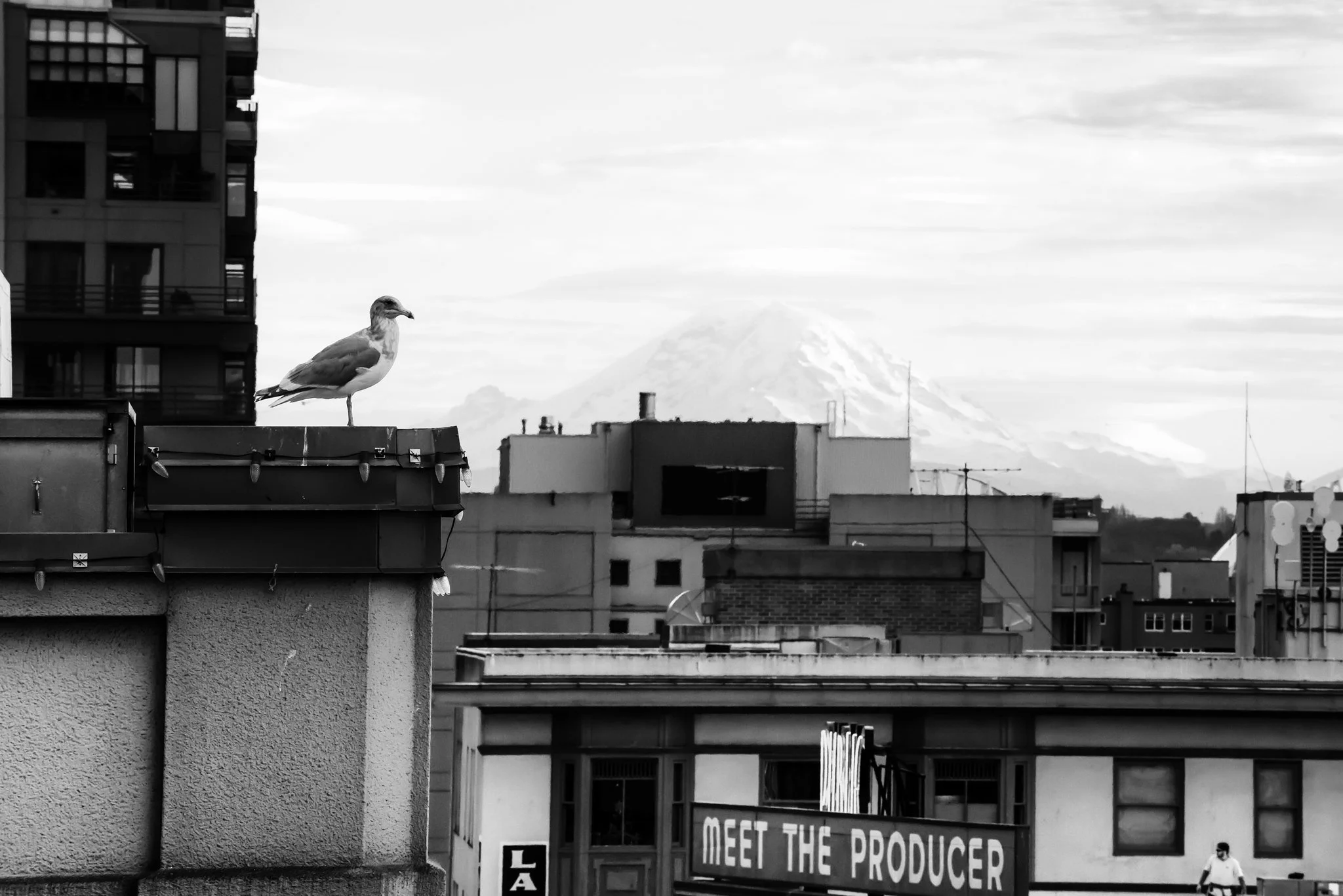 Seattle, WA USA
