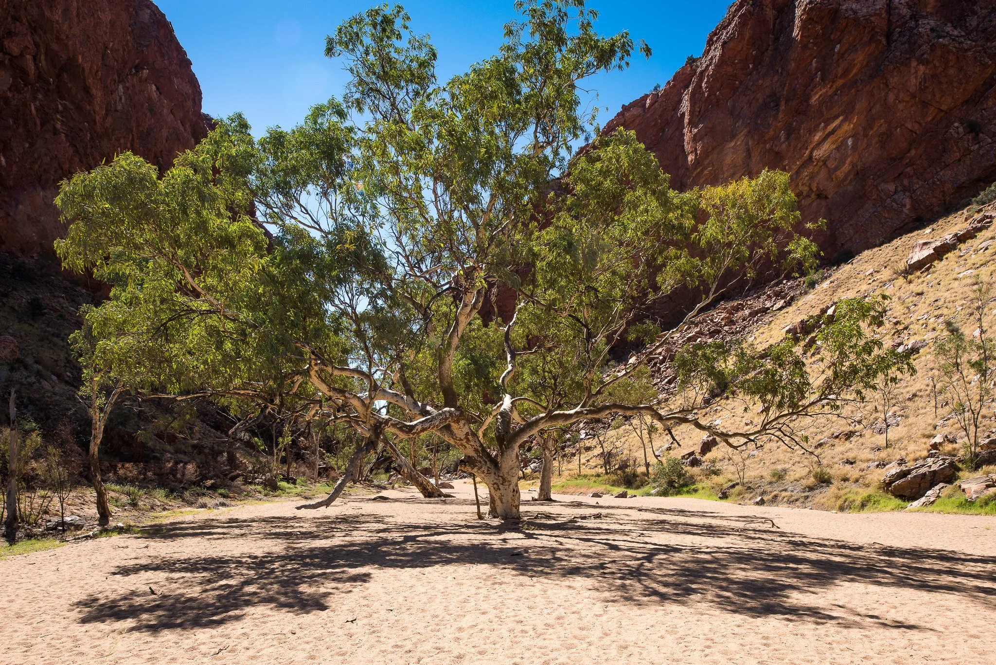 Simpsons Gap, NT AU