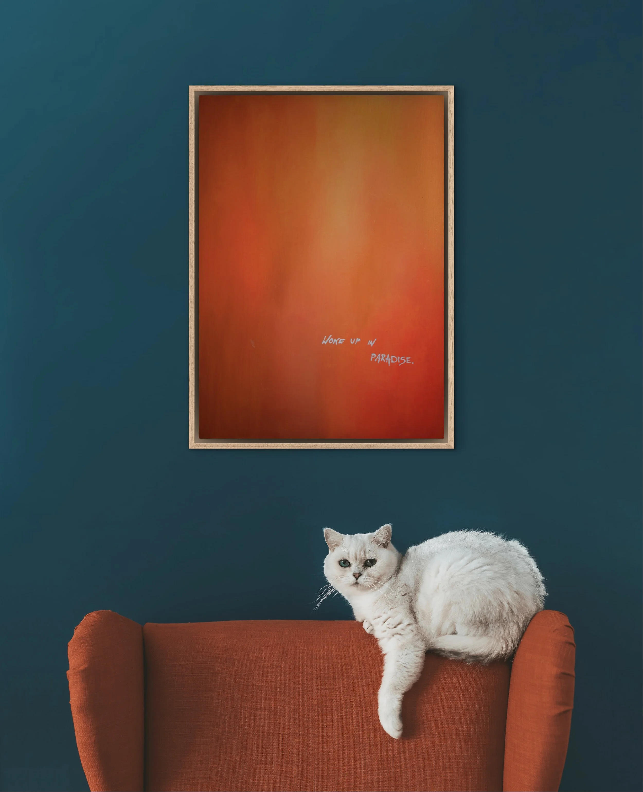 Weiße Katze liegt auf einem orangefarbenen Sessel vor einer blauen Wand. Über dem Sessel hängt ein rotes, abstraktes Gemälde mit der Aufschrift "Woke up in Paradise".