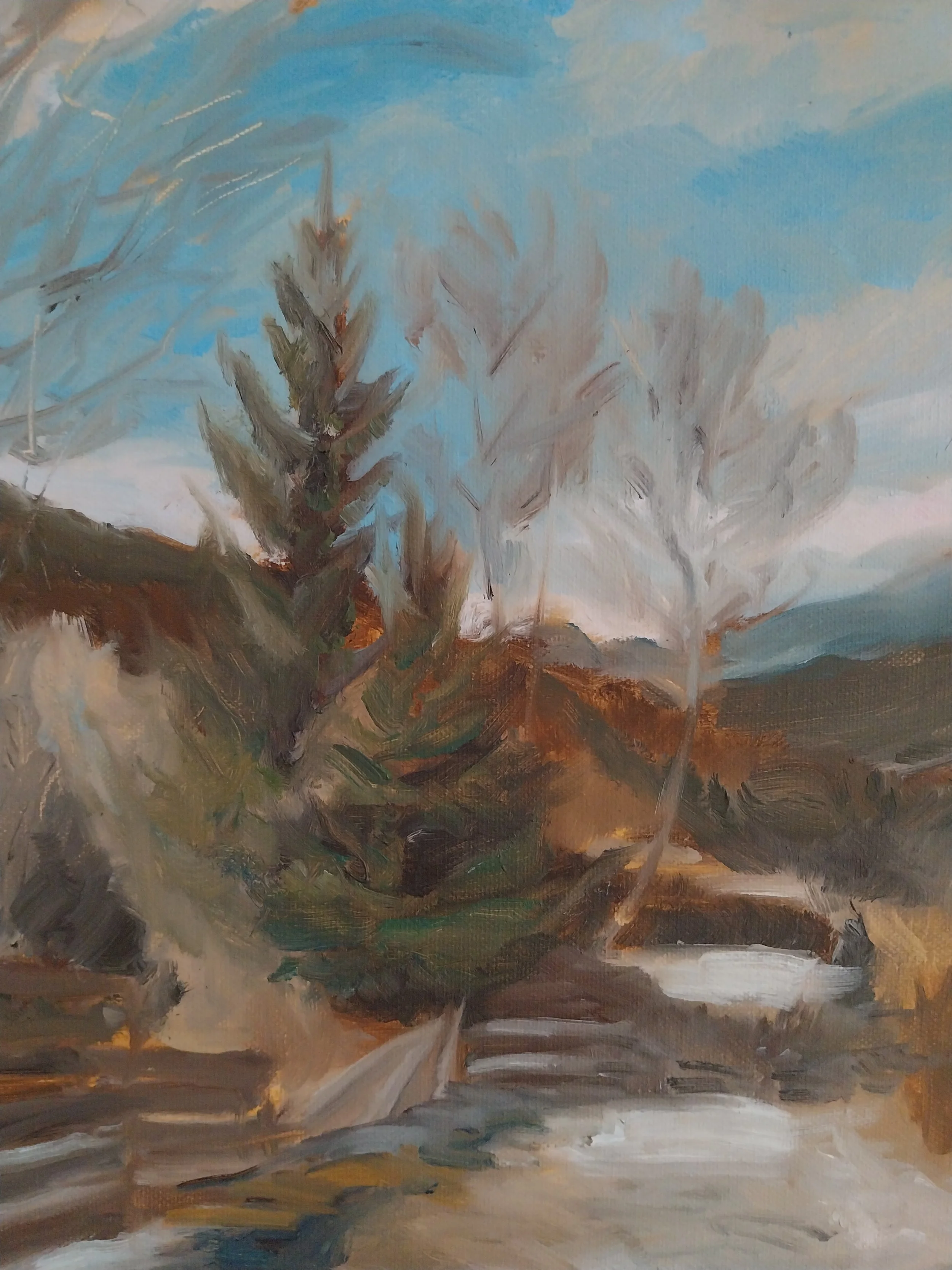 cascada detaliu 4.jpg