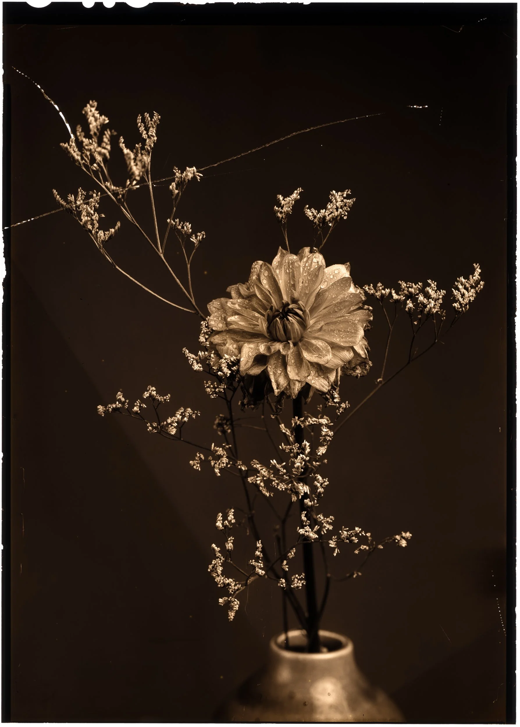 Garden Dahlia & Baby's Breath