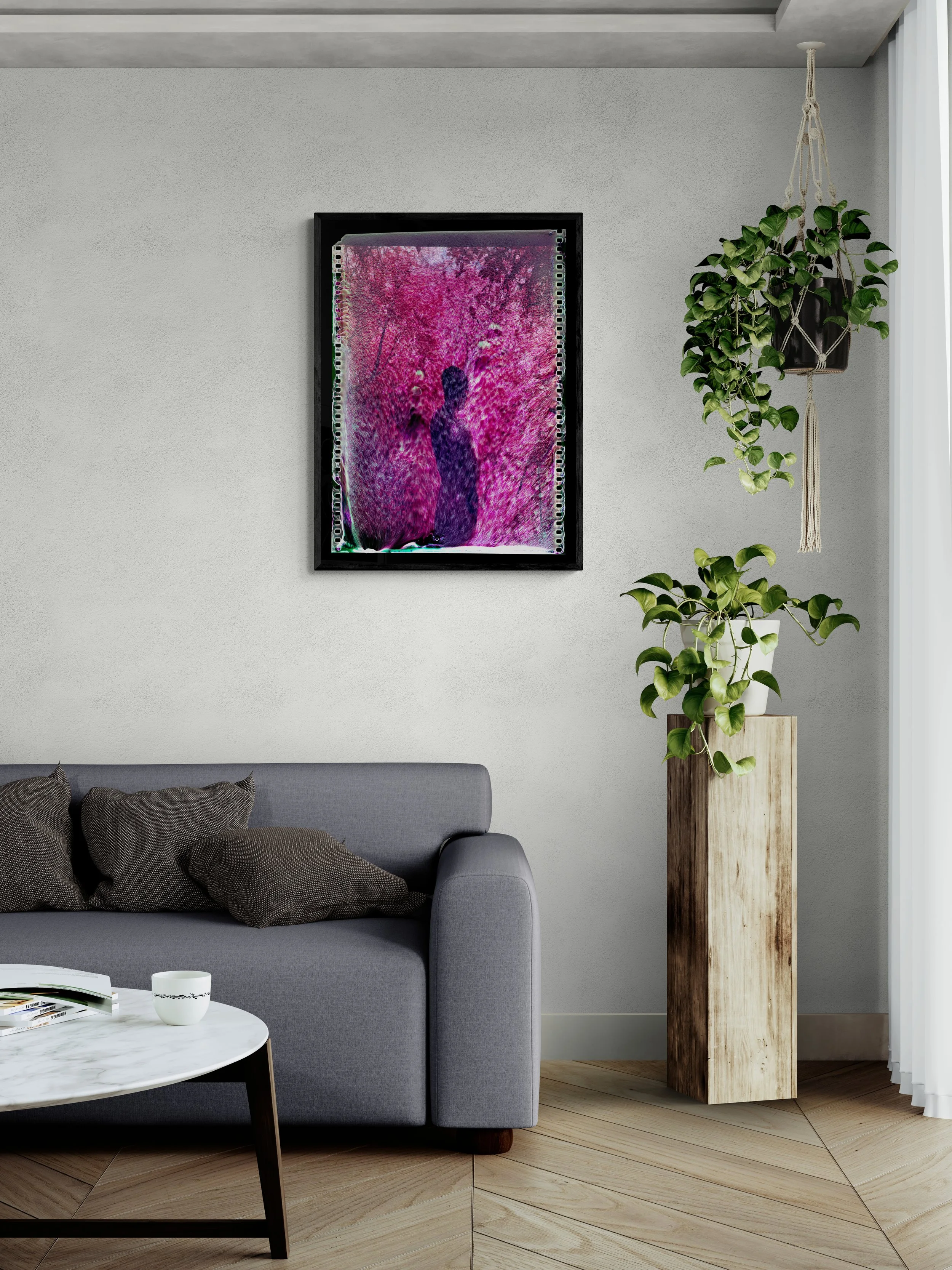 living-room-with-sofa-and-pot-plants.jpg