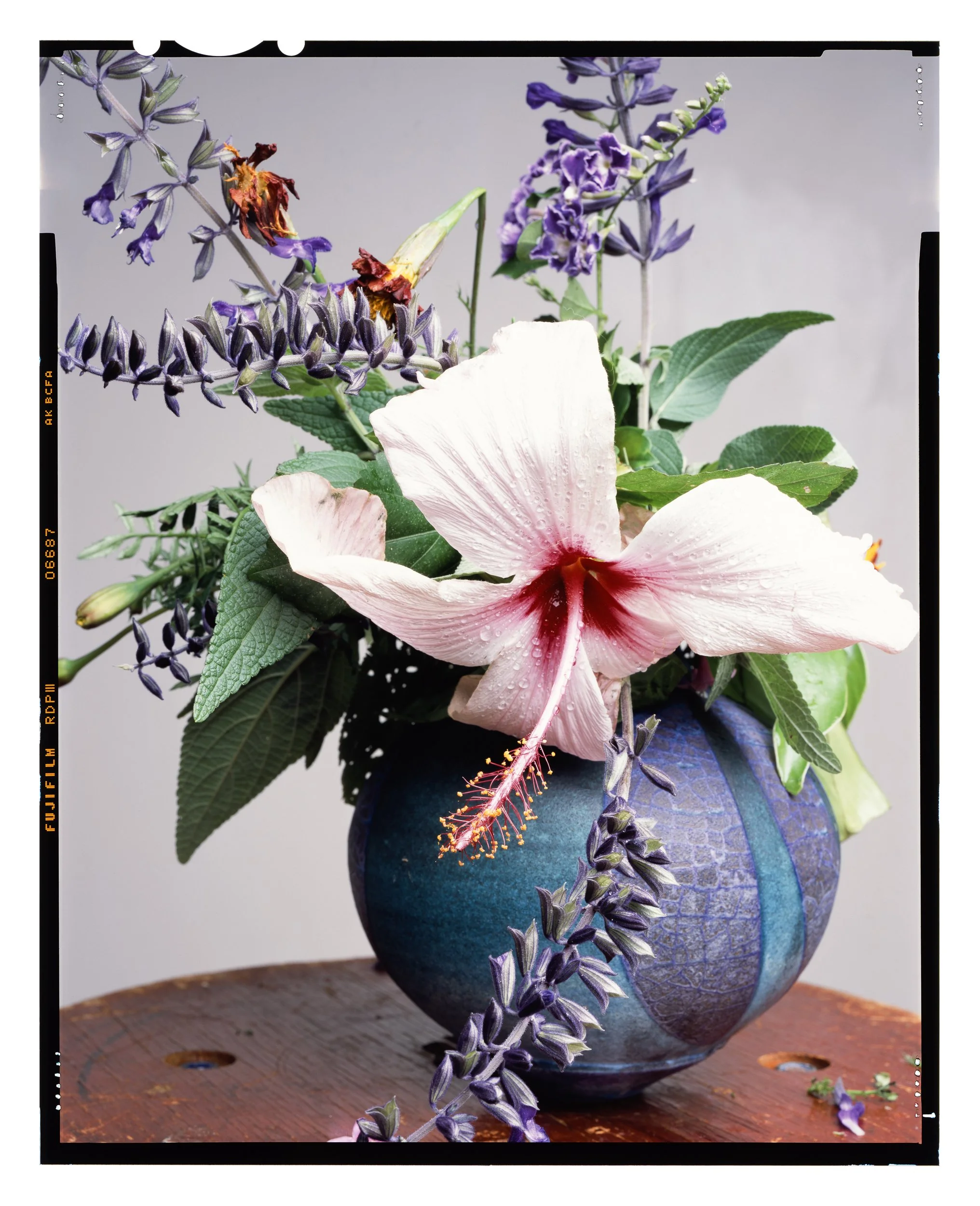 Gifted_Flowers_From_The_Manic_Girl_23-04-24_sheet_06_edit.jpg