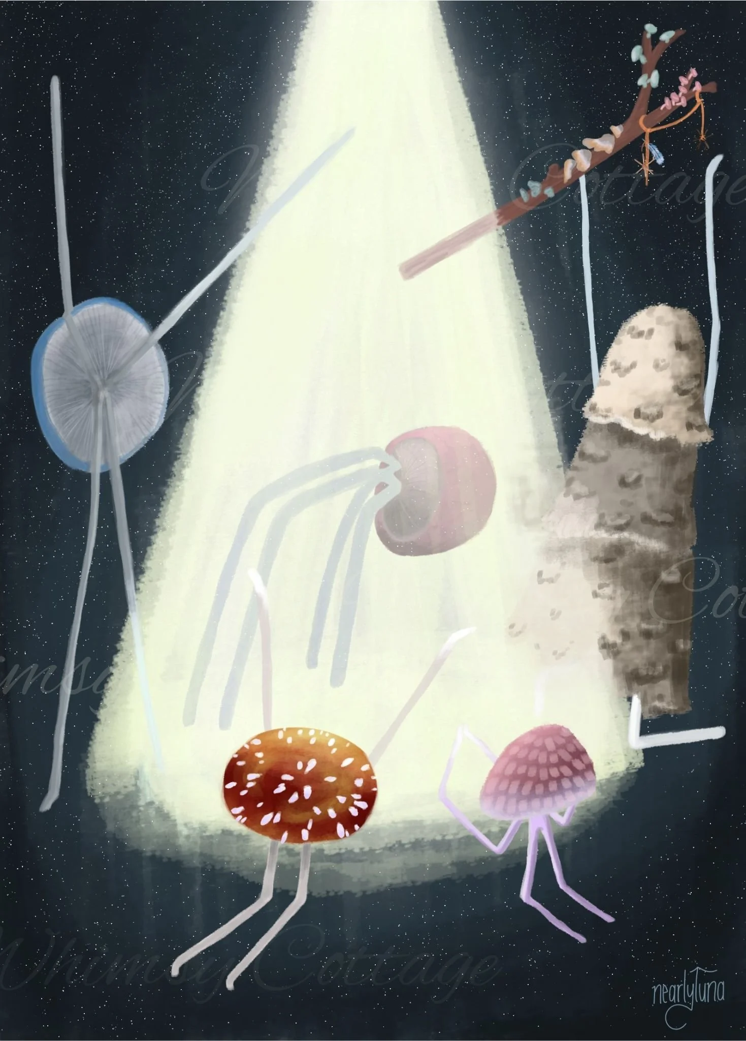 Studio Dust &amp; Daydreams: January/February