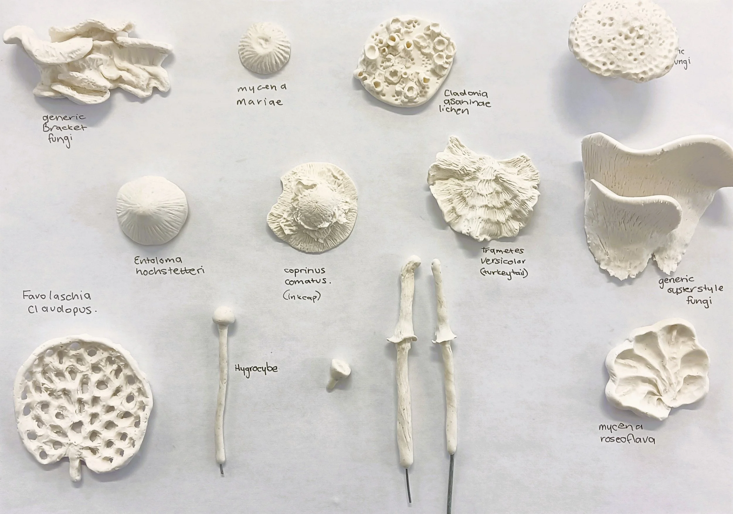 Neither plant nor animal. Neither self nor other. Something re/growing, held between.

Week One of the MFA! Cautiously optimistic, deeply undercooked. 

Stoked to be back in the studio and getting my hands and brain dirty. What a joy to be a part of 