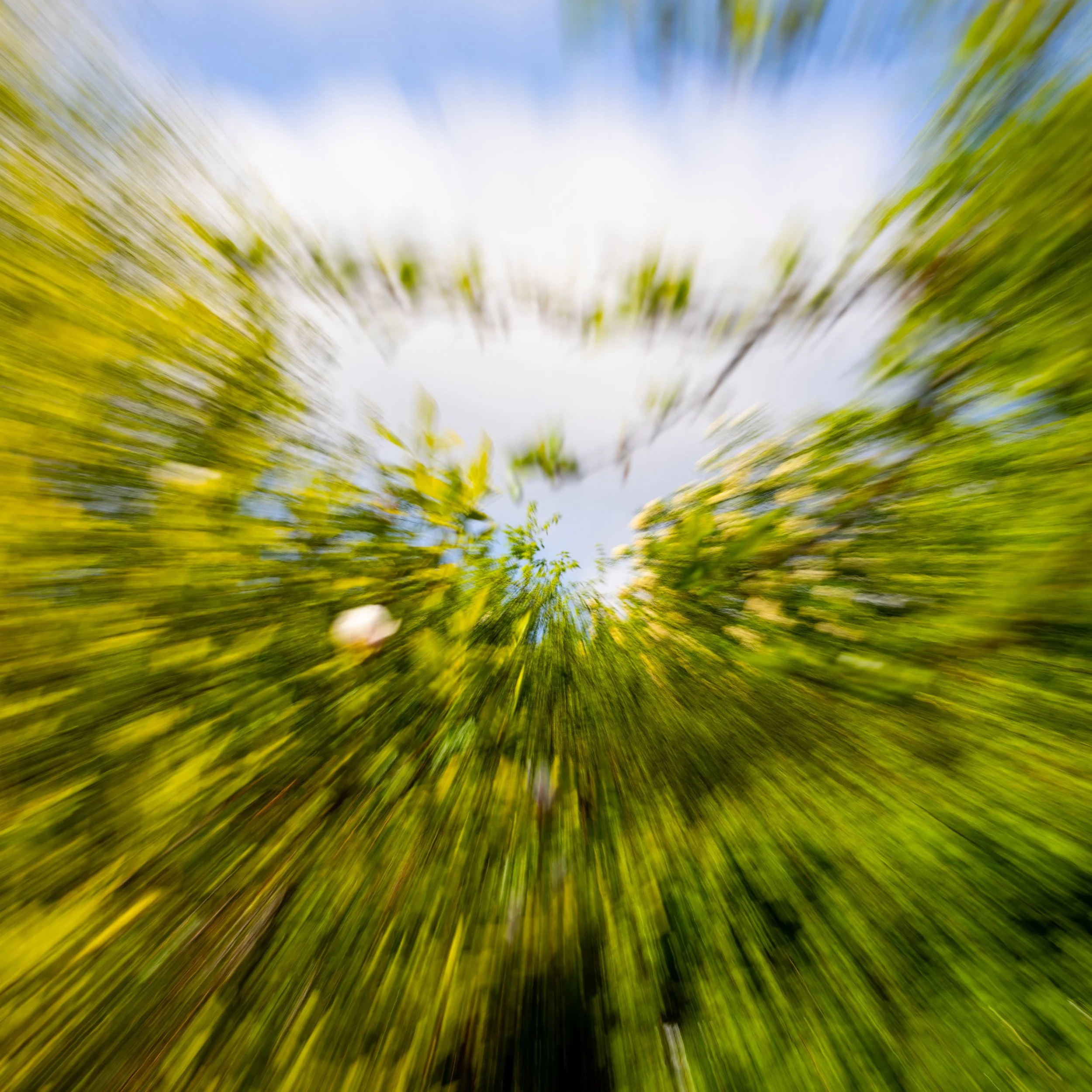 No. 139 - The Green Explosion