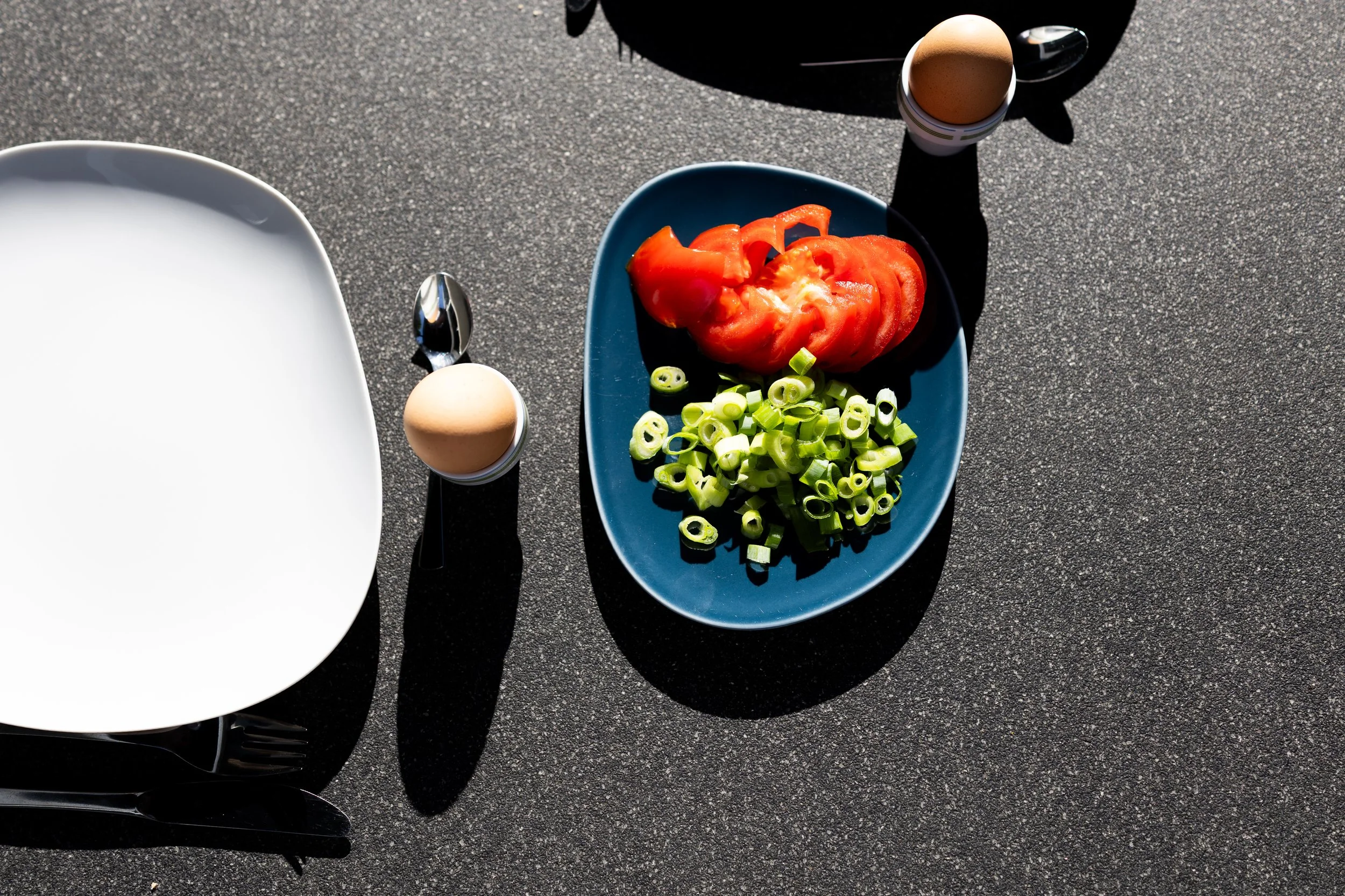 No. 249 - Breakfast Preparation